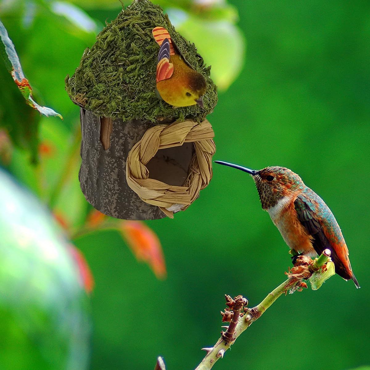 AIMALL Outdoor Hanging Wooden Birdhouse &ndash; Small Nesting Box for Hummingbirds & Finches, Moss Roof Garden Decor with Hook for Balcony, Tree, Courtyard 6.3X2.76X3.35In image number 3