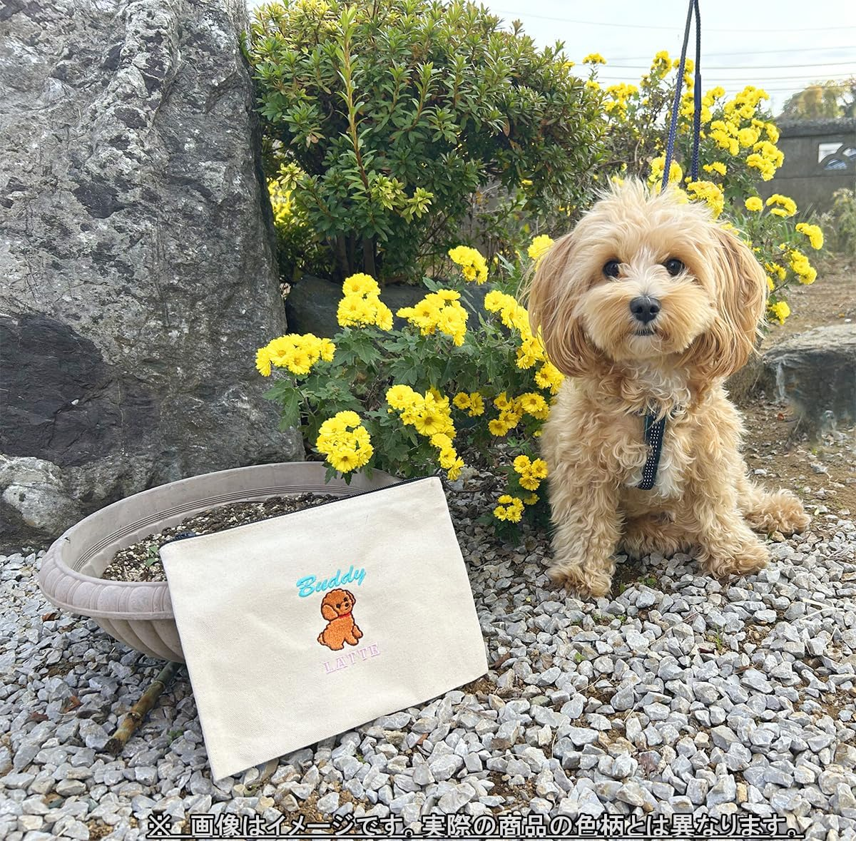 NICKNAC 02042-05 Heartful Pet Buddy Pouch, Natural Corgi image number 2