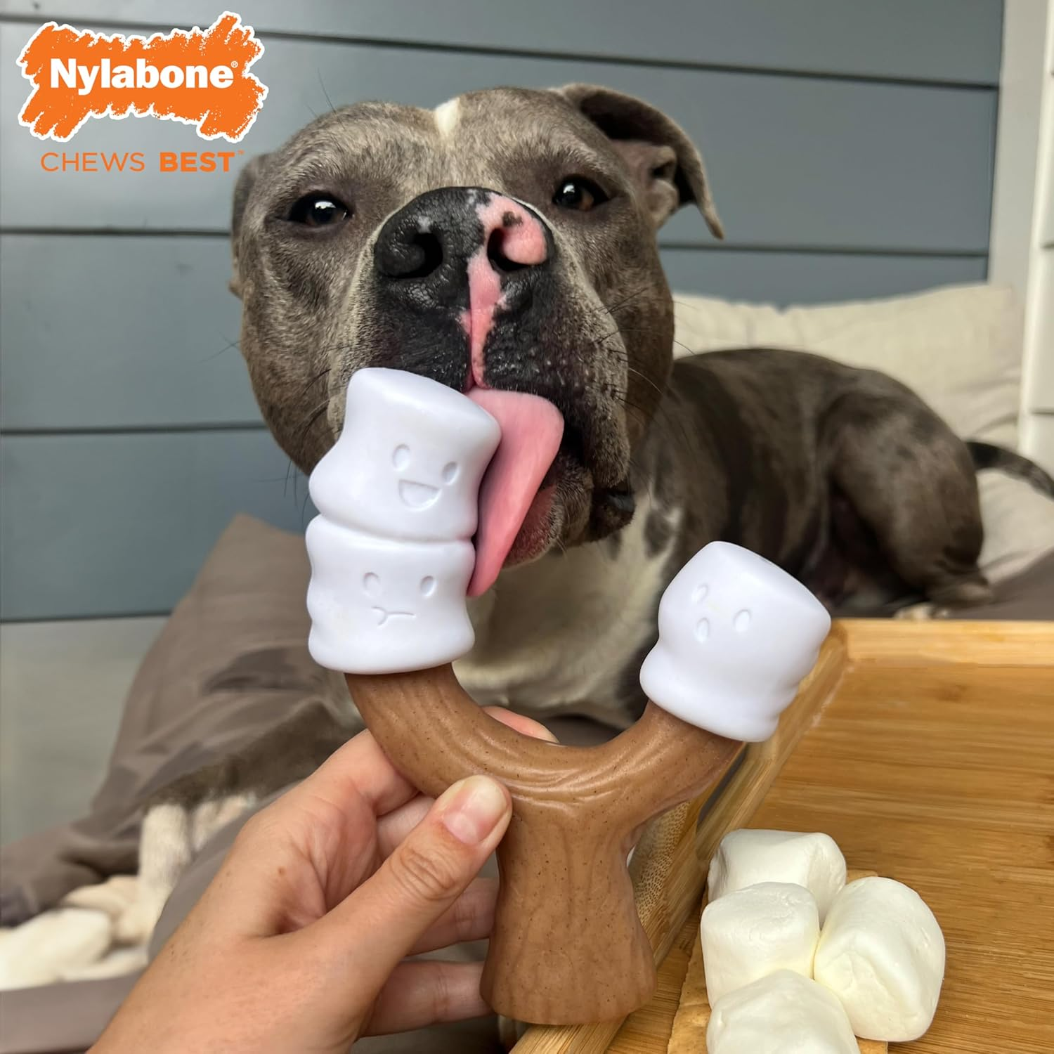 Nylabone Power Chew Toasted Marshmallow on Stick Peanut Butter Souper image number 2
