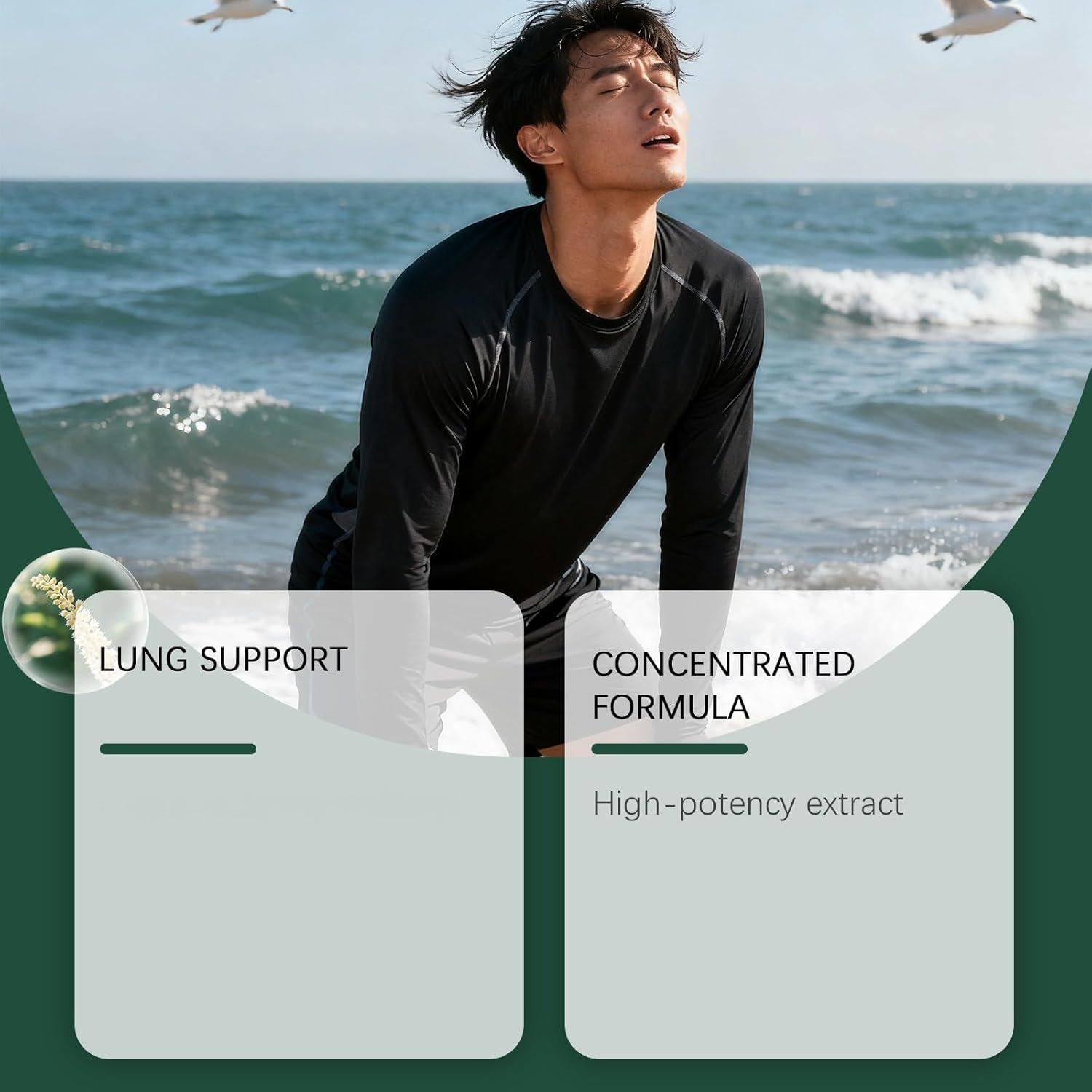 Mullein Leaf Extract Serum, Natural Herbal Liquid Extract, Alcohol-Free Concentrated Botanical Tincture, Traditional Herbal Formula for Daily Wellness, 60Ml Dropper Bottle image number 1