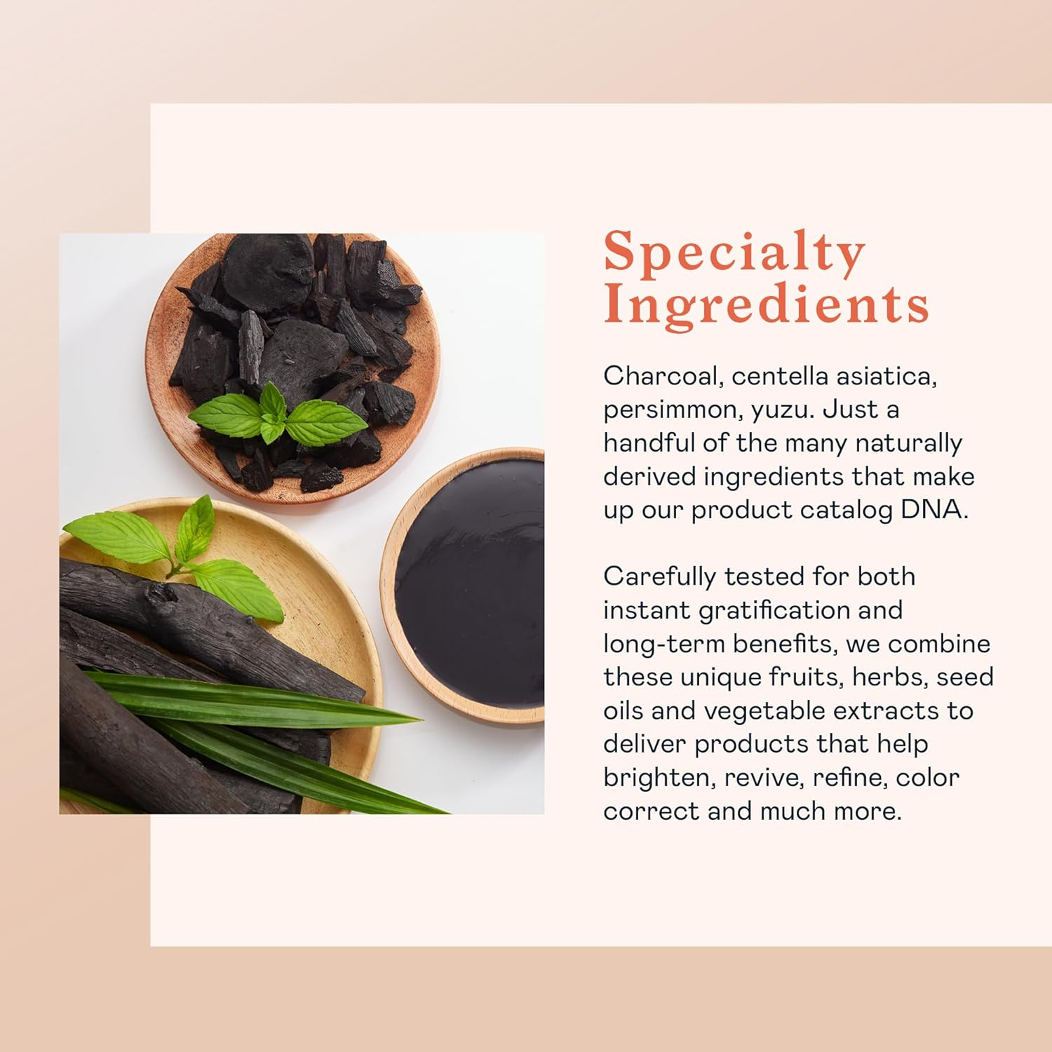 Erborian - Charcoal Konjac Sponge - Eco-Friendly Cleaning, Purifying, Mattifying and Exfoliating Face Sponge - Korean Skin Care - 1 Unit image number 5