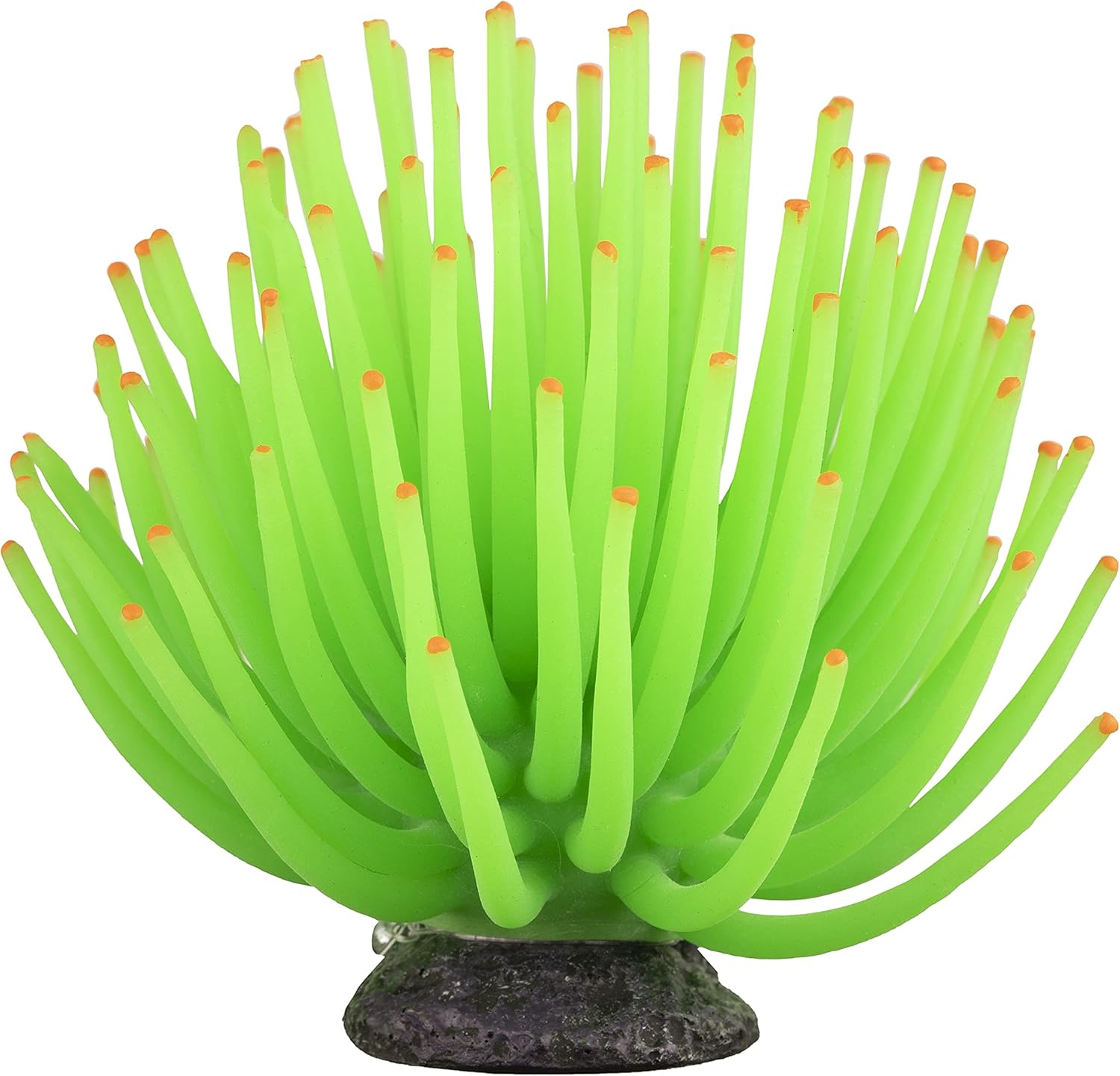 Glofish Anemone Ornament, Detailed Aquarium Ornament, Large Green, Creates a Glowing Effect image number 4