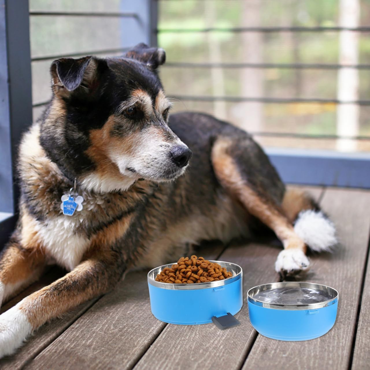 Sosoport Pet Bowl Portable Dog Bowls for on the Go Wall Feeding Bowls for Dogs Water Container Travel Dog Bowl with Lid Steel Cat and Dog Bowl Foldable Travel image number 1