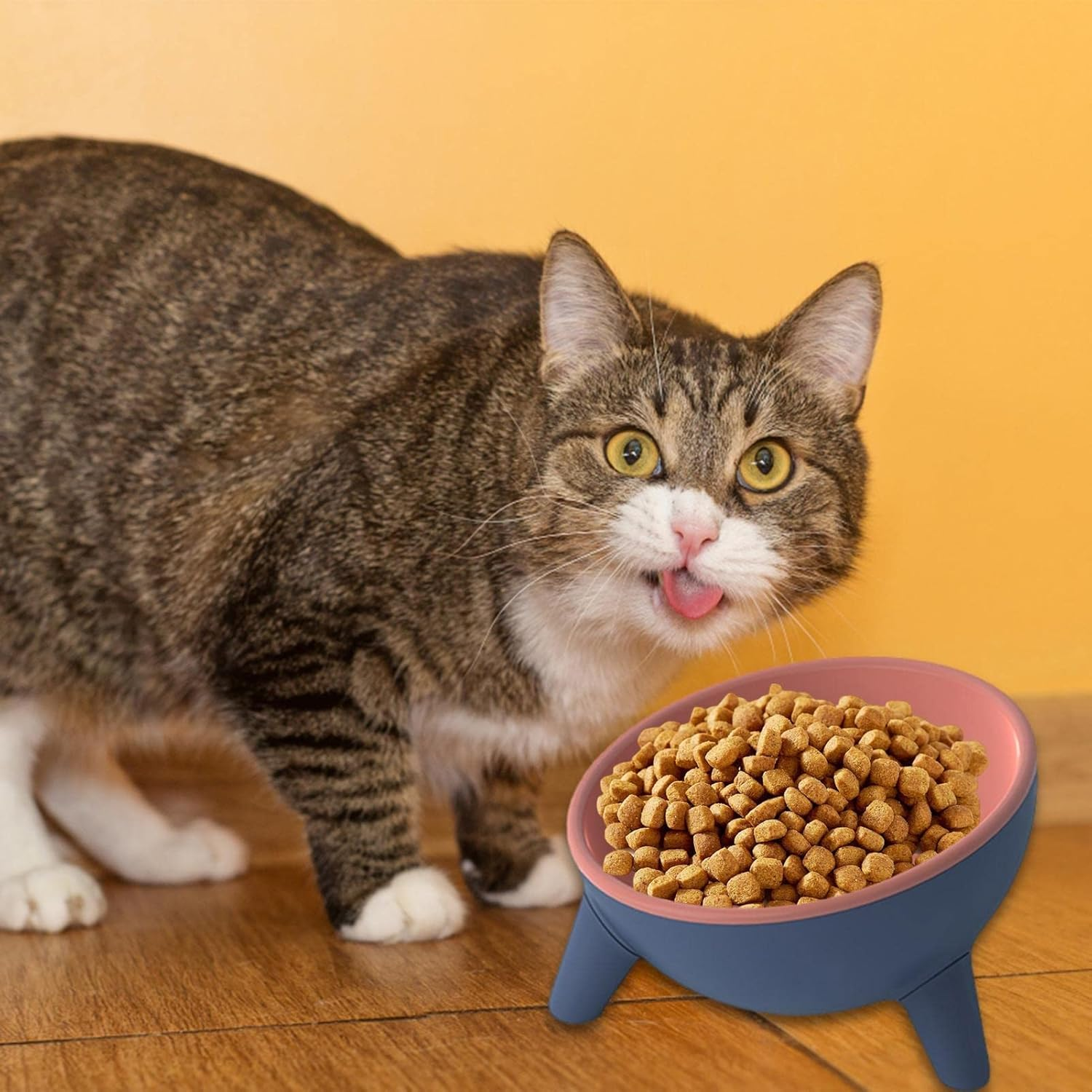 Elevated Cat Bowls - Dog Water Bowls - Pet Bowl Shallow Cat Water Bowl to Stress Relief of Whisker Fatigue, Dog Bowl Cat Feeding Wide Bowls for Puppy Cats Small Animals (Color : Red) image number 3