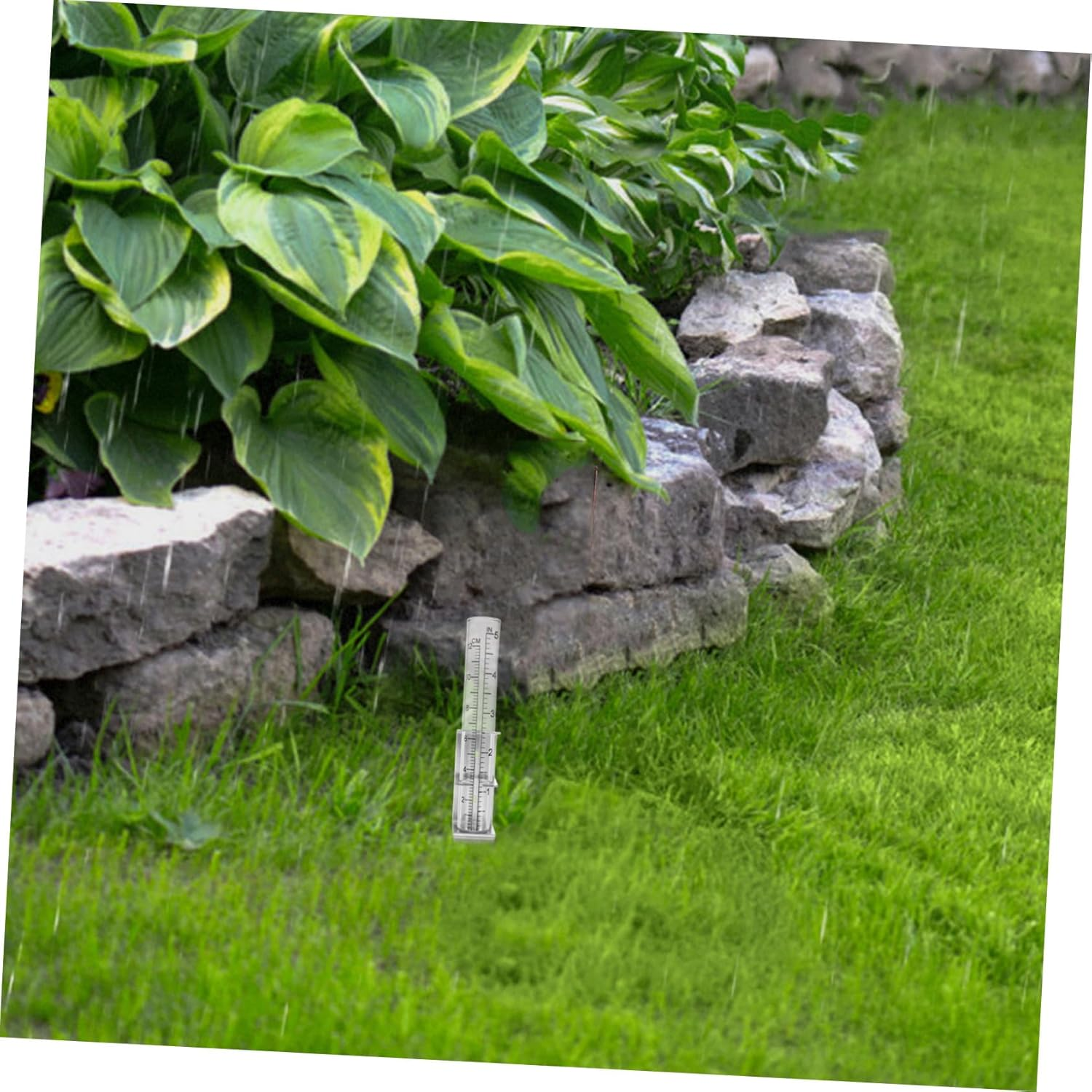 Stainless Steel Rain Gauge Bracket Outdoor Column Design Rain Measuring Tool for Garden Glass Tube Accurate Rainfall Measurement image number 2