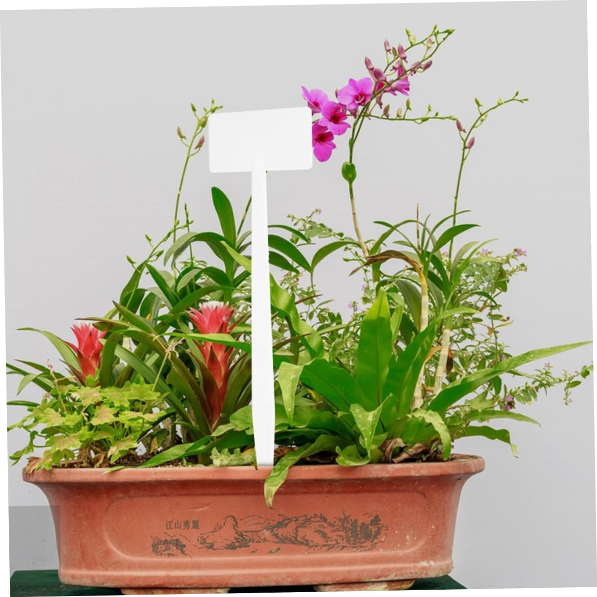 10Pcs Plant Tags Landscape Signs for Gardening Easy to Use Write Lightweight Safe for Plants for Garden Decoration image number 4