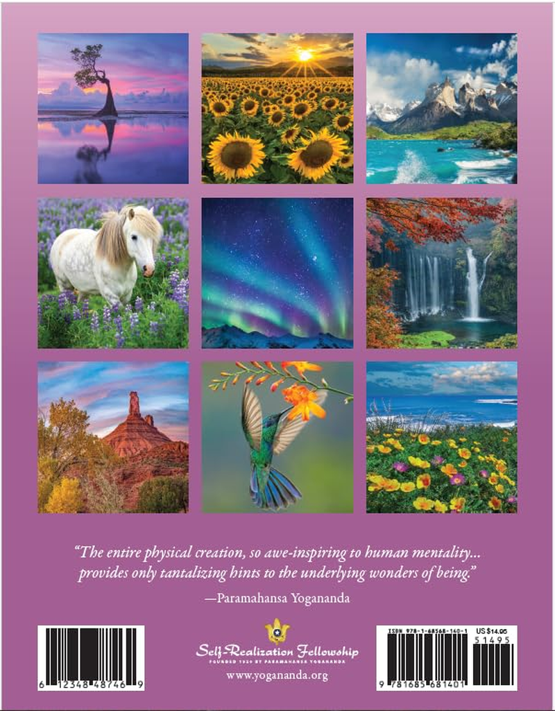 2025 Inner Reflections Engagement Calendar image number 6