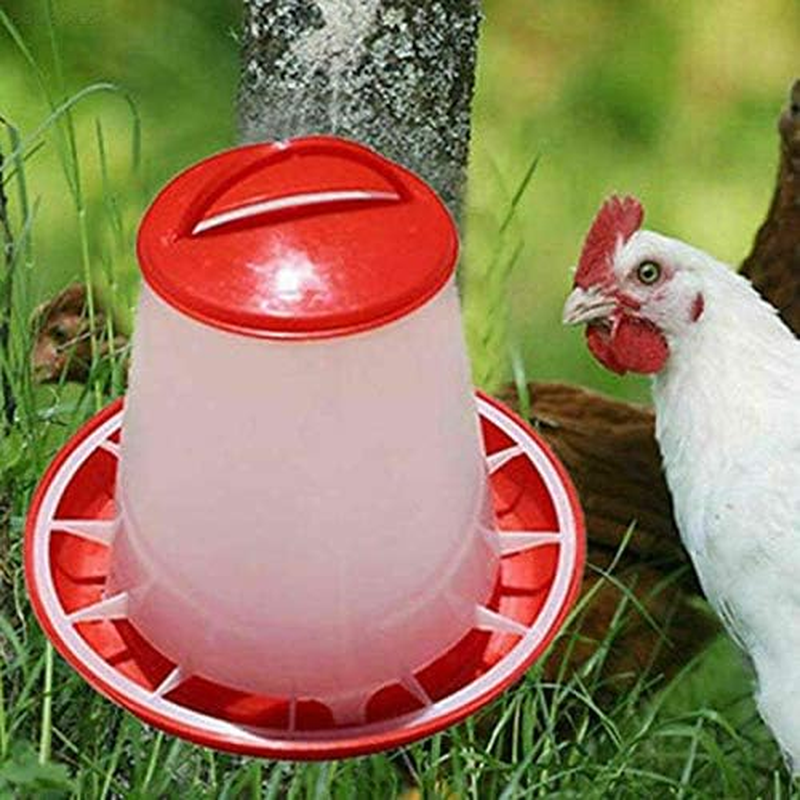 3Kg Automatic Chicken Feeder Plastic Poultry Chook Hen Food Eating Seed Bucket image number 5