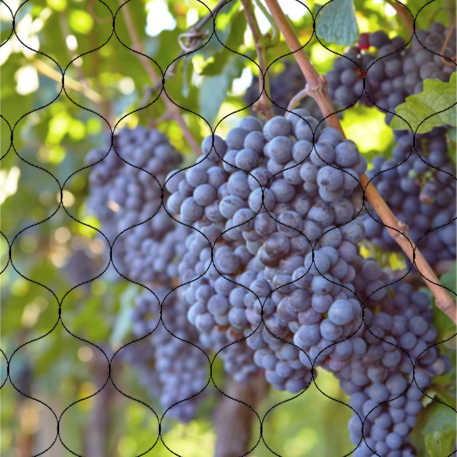 Bird Netting for Garden,Poultry Nylon Mesh Net Netting,Multi-Purpose Fruit Tree and Plant Protection Netting，15 * 7M Bird Netting (Black) image number 6