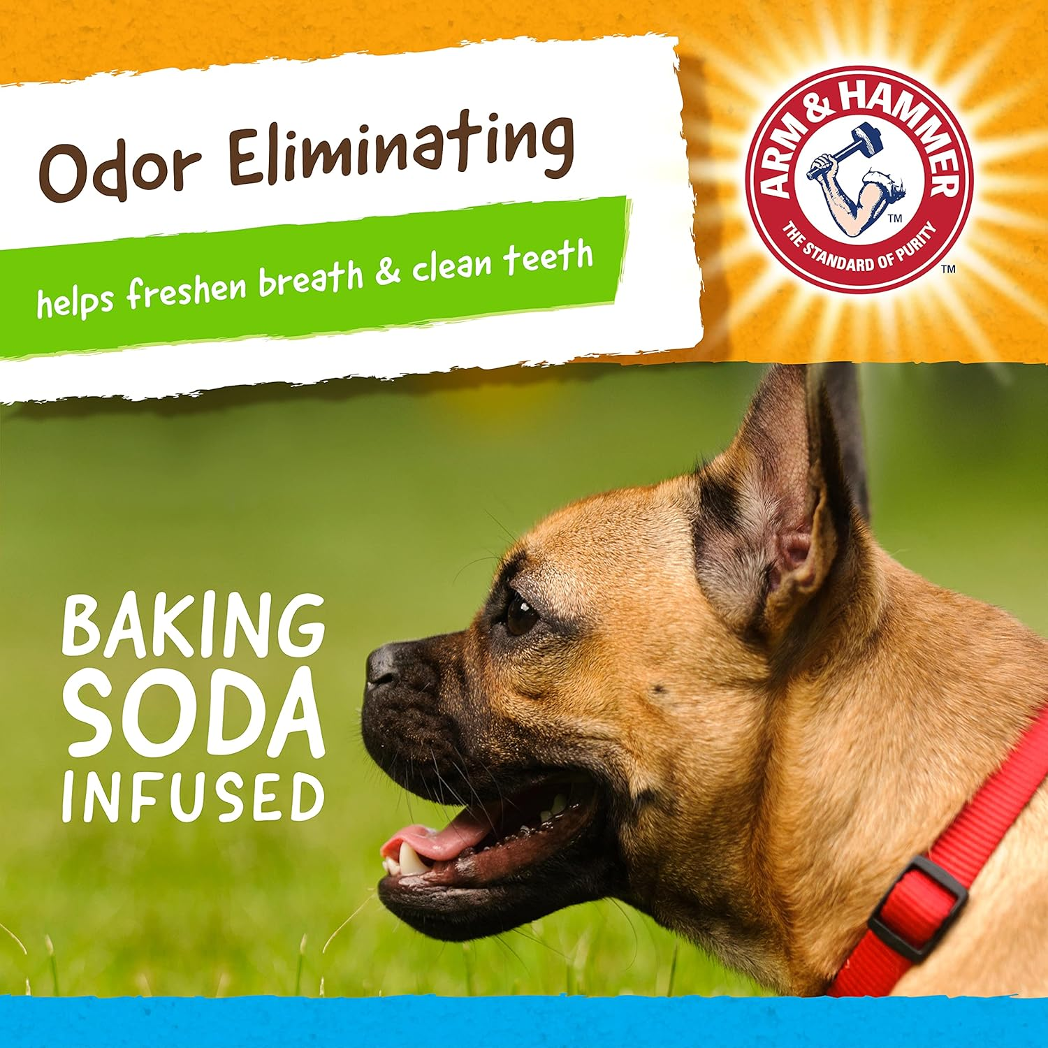 Arm & Hammer Rock N' Roller Axis Rubber Chew Toy for Dogs | Bouncing, Rolling, Chewable, Fetchable Dog Toy Made with Natural Rubber and Baking Soda to Help Redirect Destructive Chewing image number 5