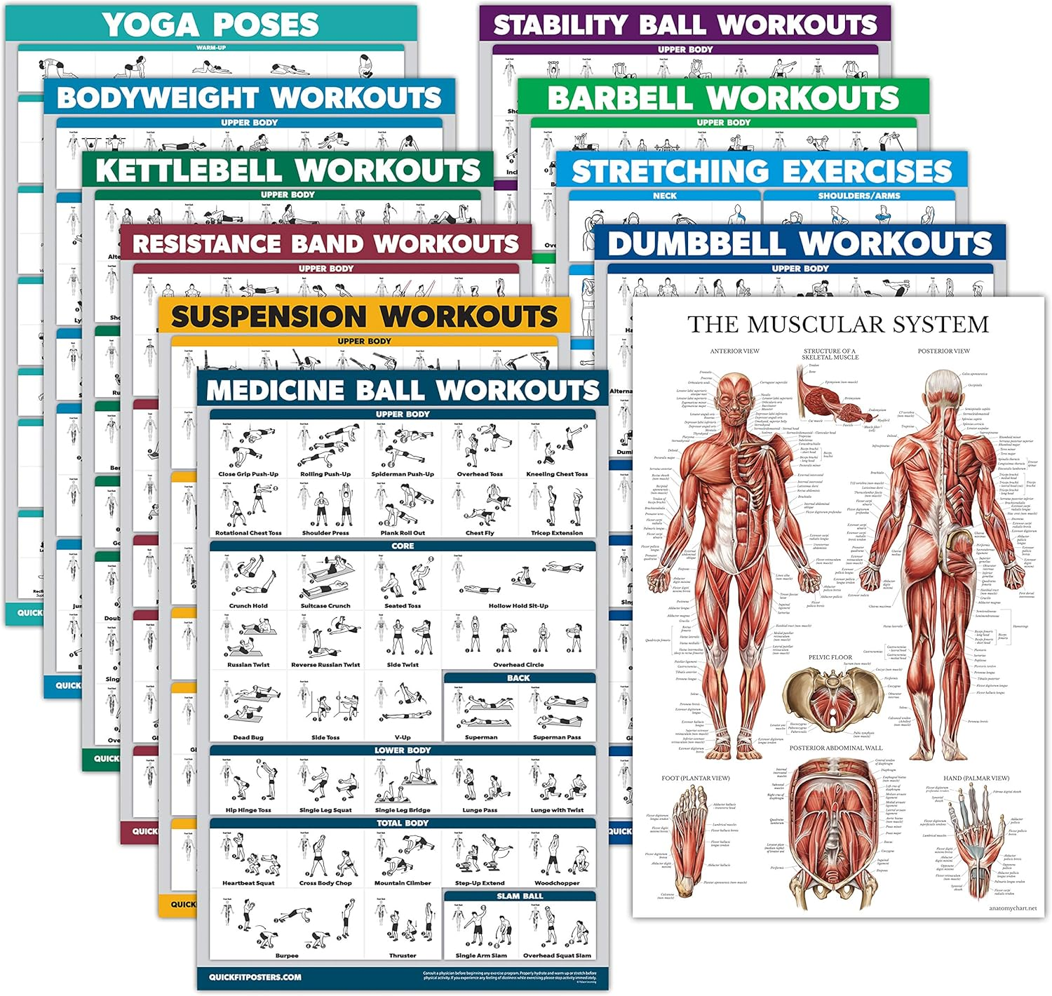 11 Pack - Exercise Poster Set: Dumbbell, Suspension, Kettlebell, Resistance Bands, Stretching, Bodyweight, Barbell, Yoga, Exercise Ball, Muscular System, Medicine Ball (Laminated, 18" X 24") image number 4