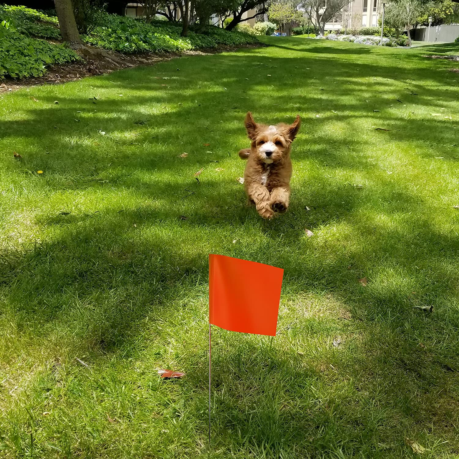 AIEX 42Pcs 2"X3" Marking Flags with 13.8" Steel Pole Vinyl Stake Flag for Yard Industrial, Underground Utilities, Sprinkler, Utility Marker, Sewers, Lawn, Landscaping, Surveying, Pet Boundary(Orange) image number 5