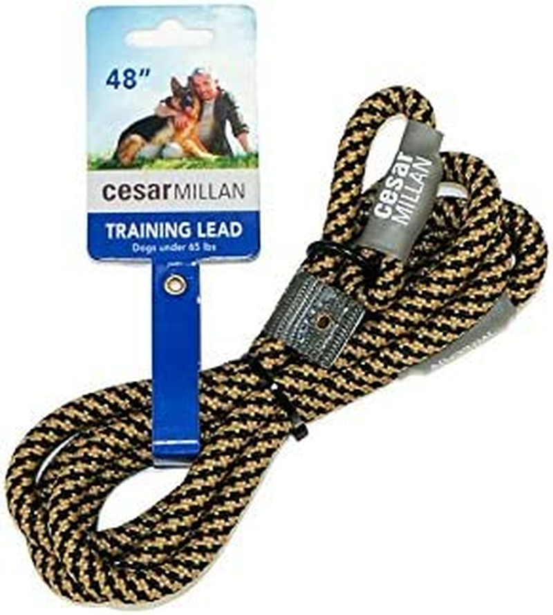 Cesar Millan Slip Lead Leash&trade; - Slip Collar Training Lead Gives You Greater Control and the Ability to Make Quick and Gentle Corrections (Regular, Black)