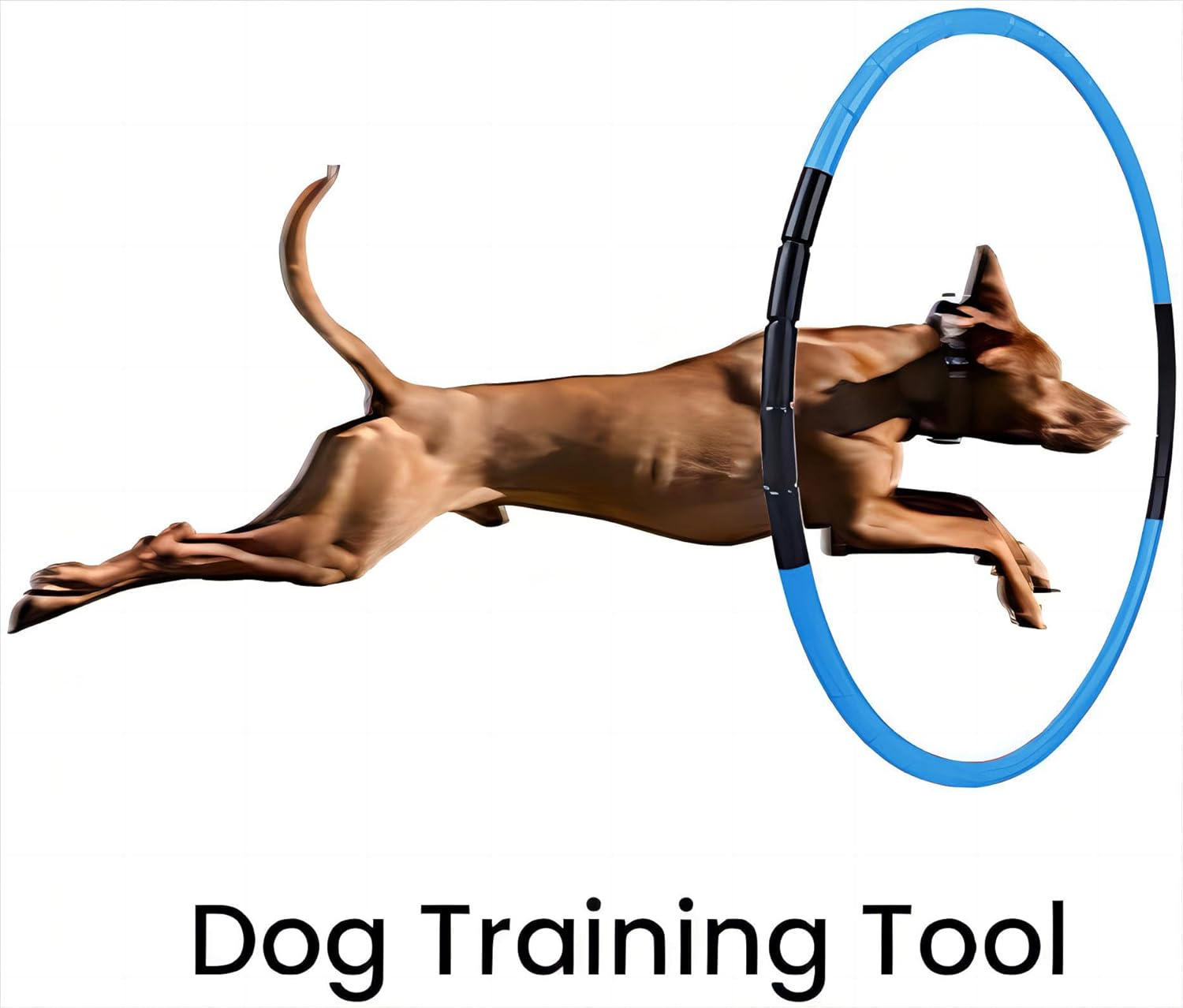 Fitness Hoop Removable Plastic Children Gymnastics Toys - Blue image number 6