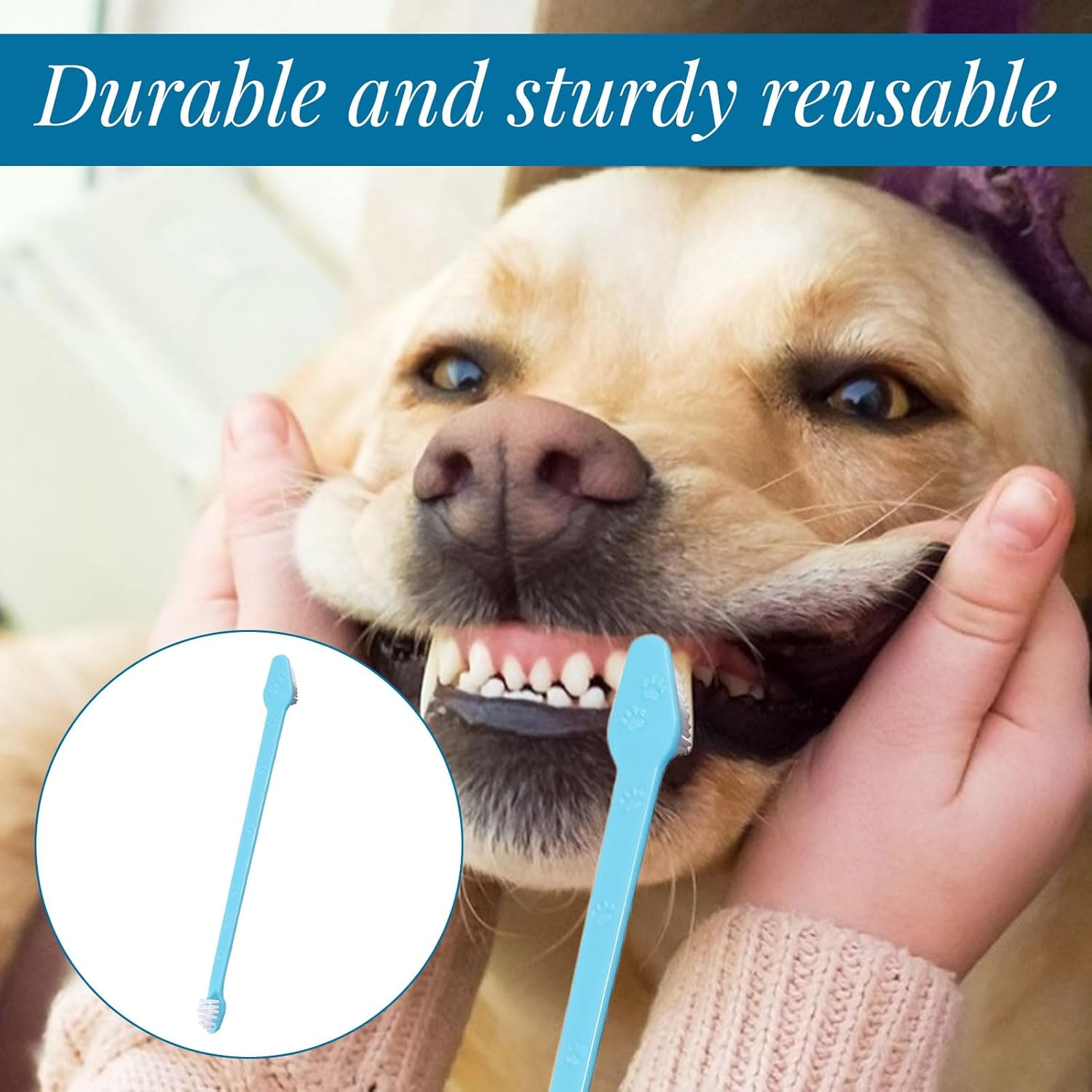 Dog Toothbrush, Cat Toothbrush, Dog Brush Kit with 2 Triple Head Dog Toothbrushes, 2 Long Handle Dog Toothbrushes, 4 Pcs Pet Fingerbrush, Pet Teeth Brush for Dogs Cat Puppy Most Pets image number 2