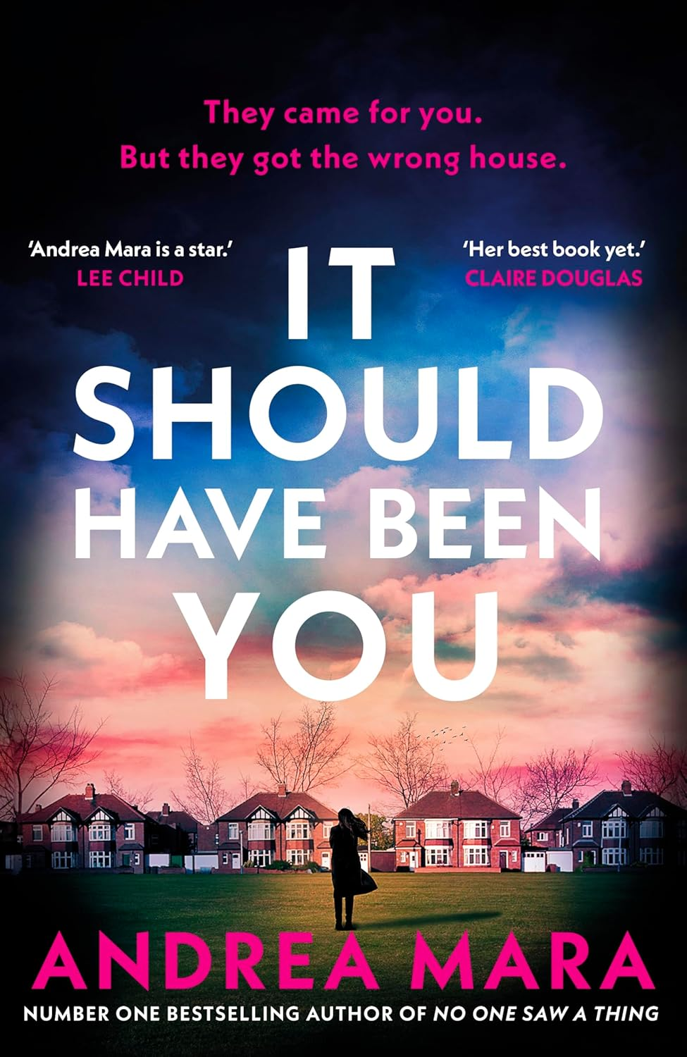 It Should Have Been You: the Gripping, Unputdownable New Psychological Thriller from the No.1 Sunday Times Bestselling Author of No One Saw a Thing