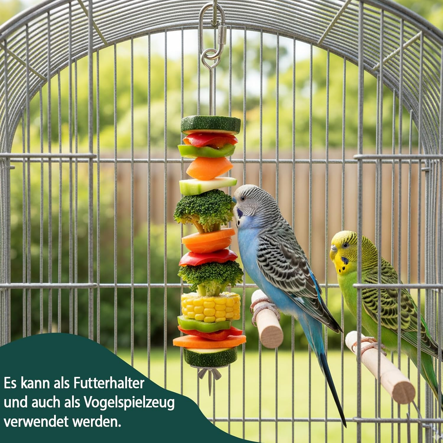 Hcvgcm Budgie Toy, 3 Stainless Steel Fruit Skewers with 3 Hooks, Budgies Cage, Parrot Toy, Safe and Durable Feeder for Budgies, Cockatiels and Small Birds