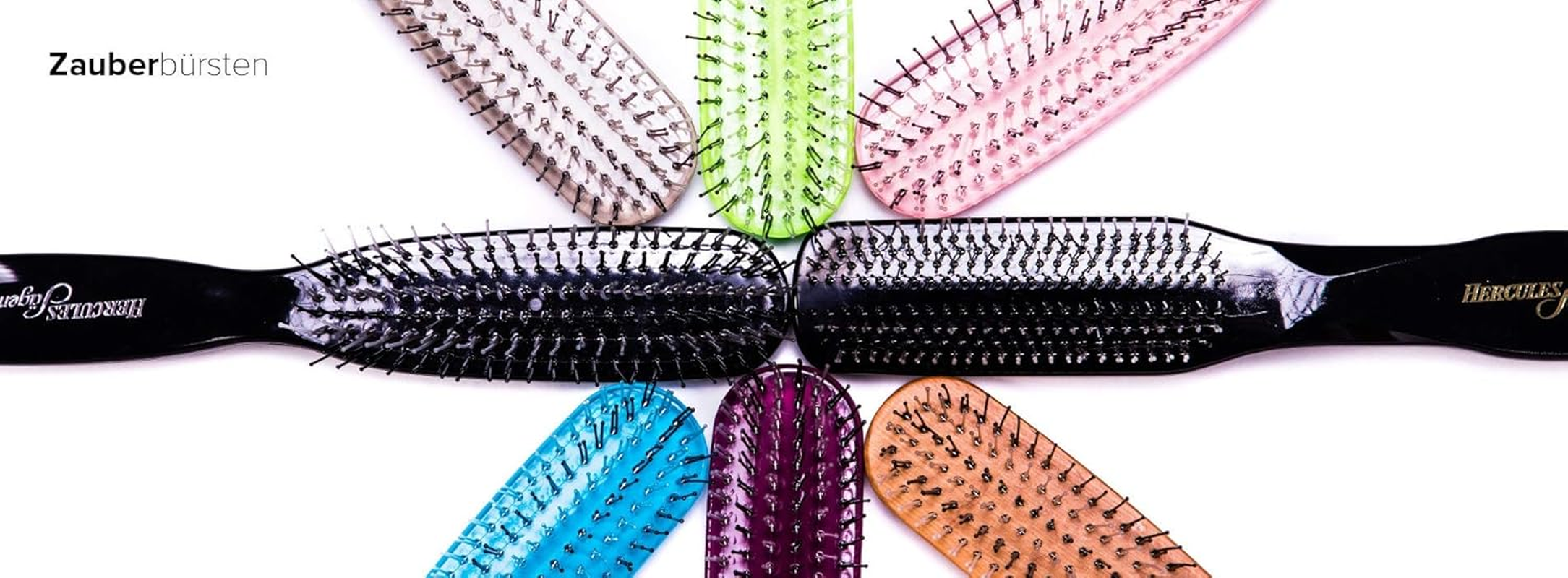 Hercules S&auml;gemann NYH Scalp Brush 8200 Black Pack of 1