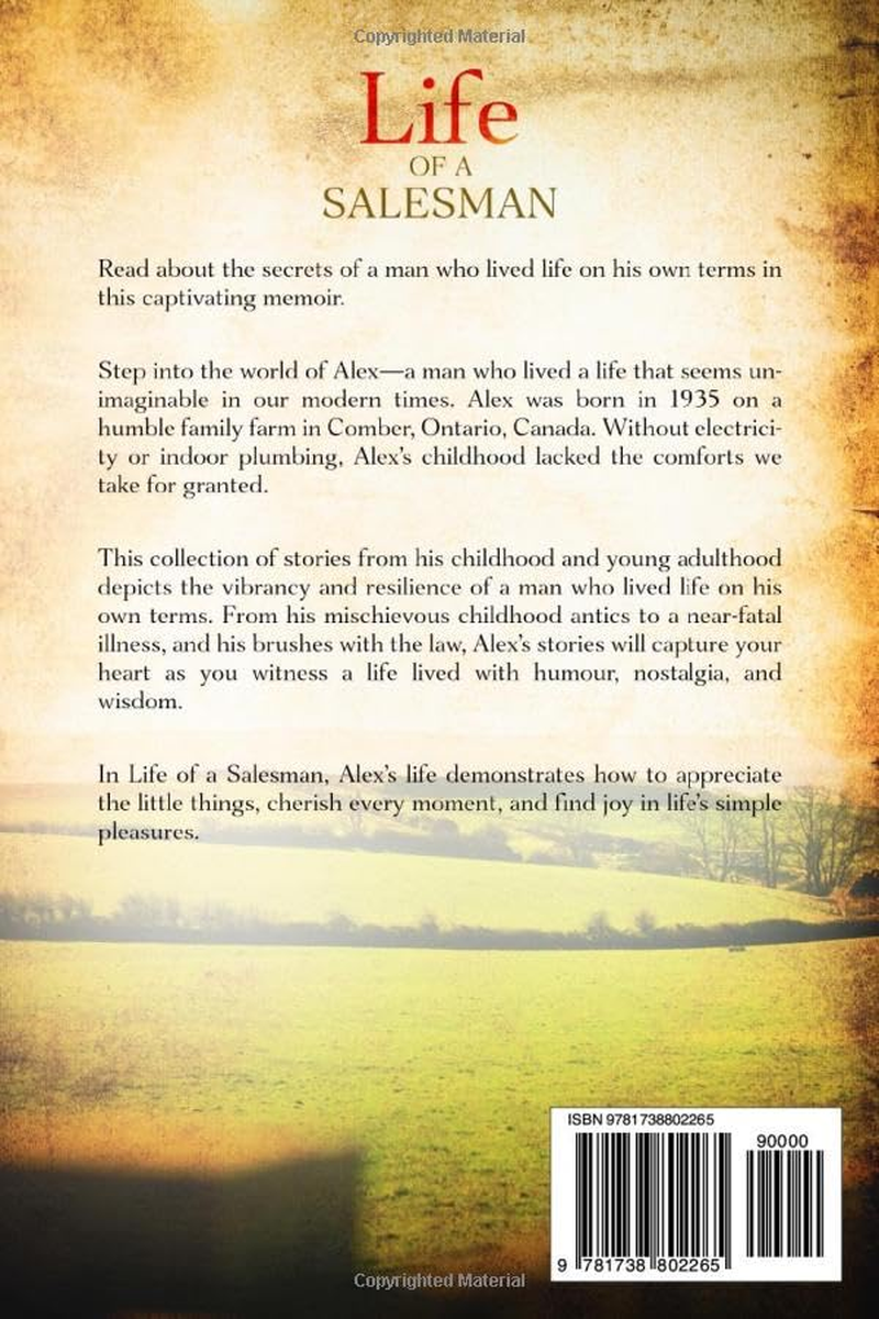 Life of a Salesman image number 1