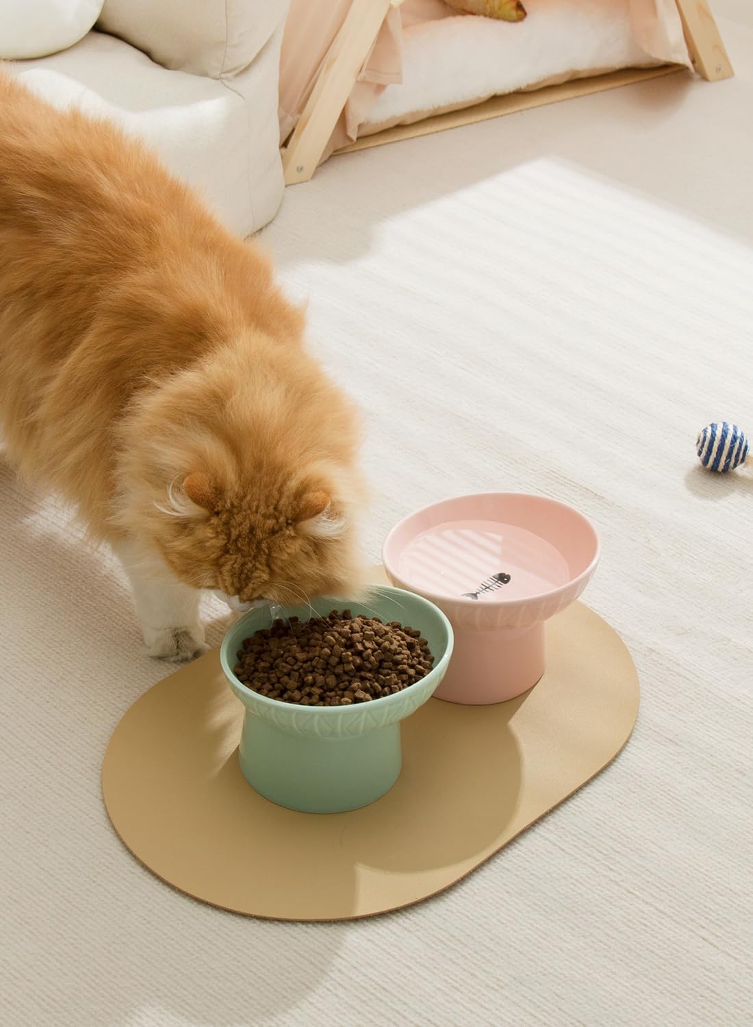 OMAYKEY Extra Wide Raised Cat Bowls, 6.5 Inch Wide Ceramic Tilted Elevated Cat Bowl, Prevent Neck & Whisker Fatigue, anti Vomit for Cats Puppies, Dishwasher and Microwave Safe, 2 Pack - Grey,White image number 5