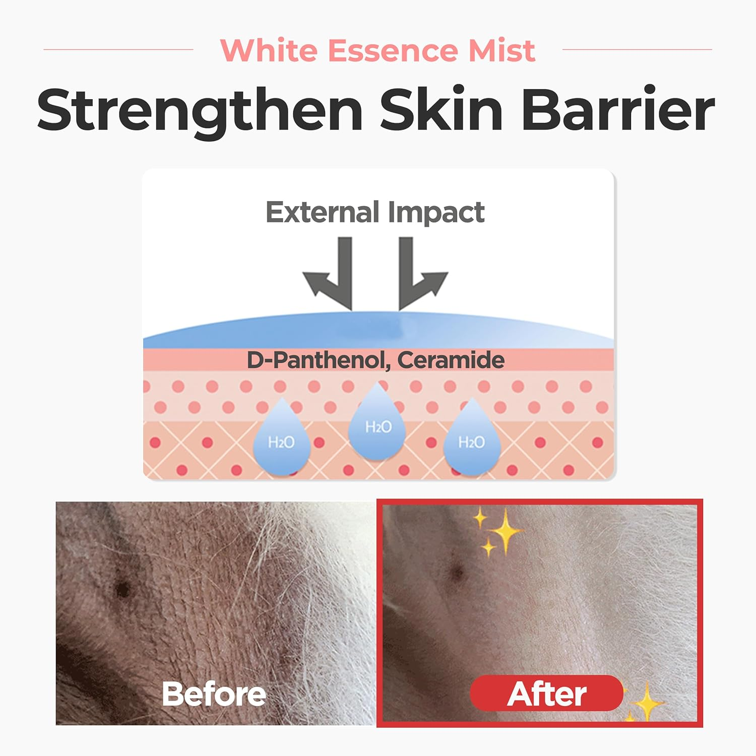 JAYU PET White Essence Mist - Dog Itch Relief, Hypoallergenic Soothing Spray, Dandruff & Dry Skin Spray (170Ml, 5.8Fl Oz) image number 1