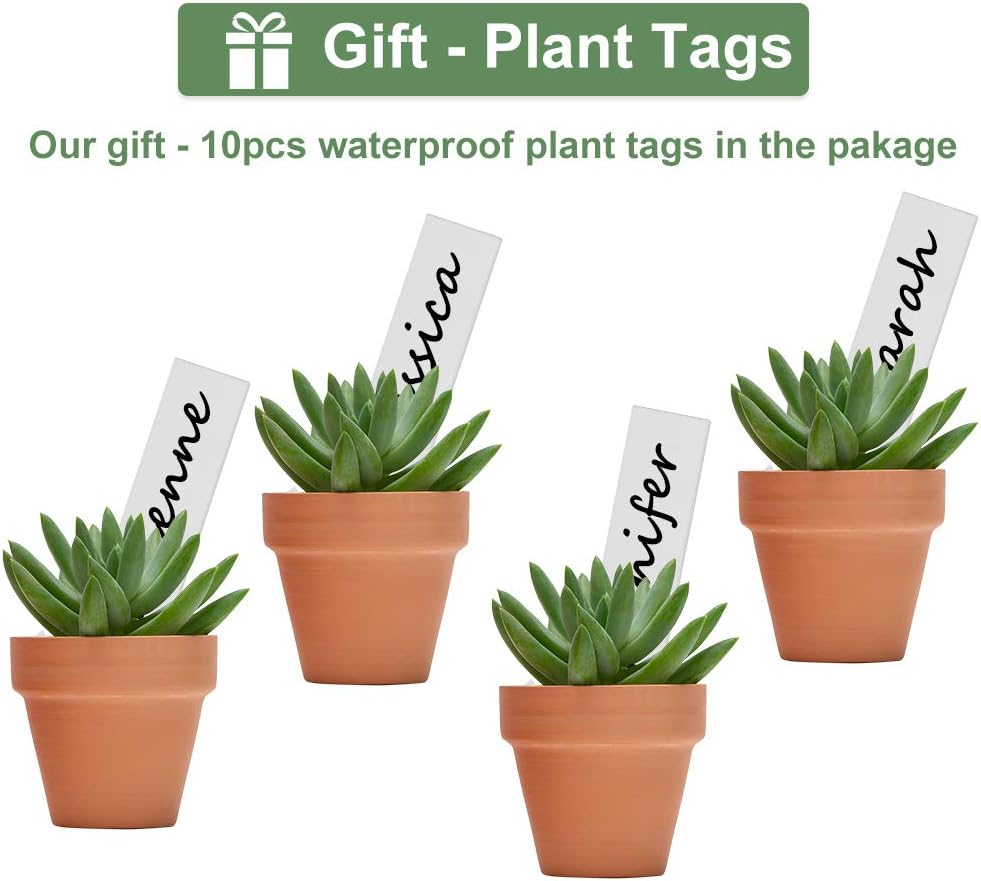 32Pcs Small Mini 2" Terracotta Pot Clay Ceramic Pottery Planter, Cactus Flower Nursery Terra Cotta Pots, with Drainage Hole, for Indoor/Outdoor Succulent Plants, Crafts, Wedding Favor image number 3