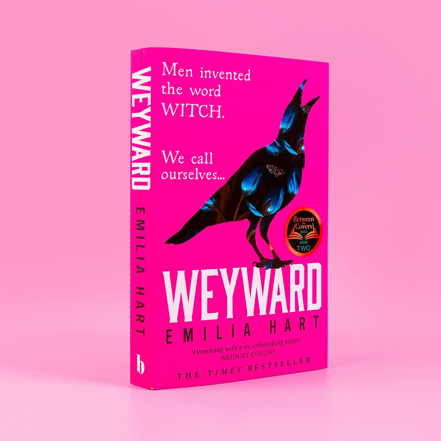 Weyward: the Richard & Judy Book Club Pick, a Spellbinding Historical Bestseller image number 5