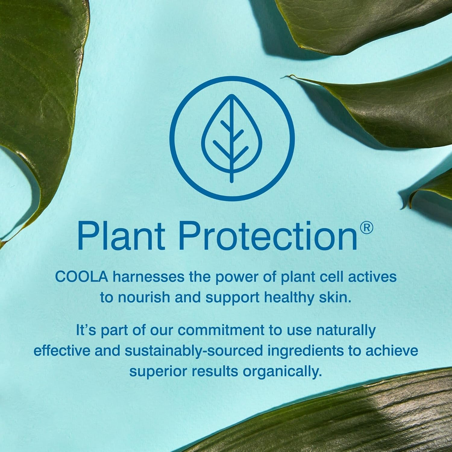 Coola ER+ Radical Recovery after Sun Lotion 180 Ml image number 4