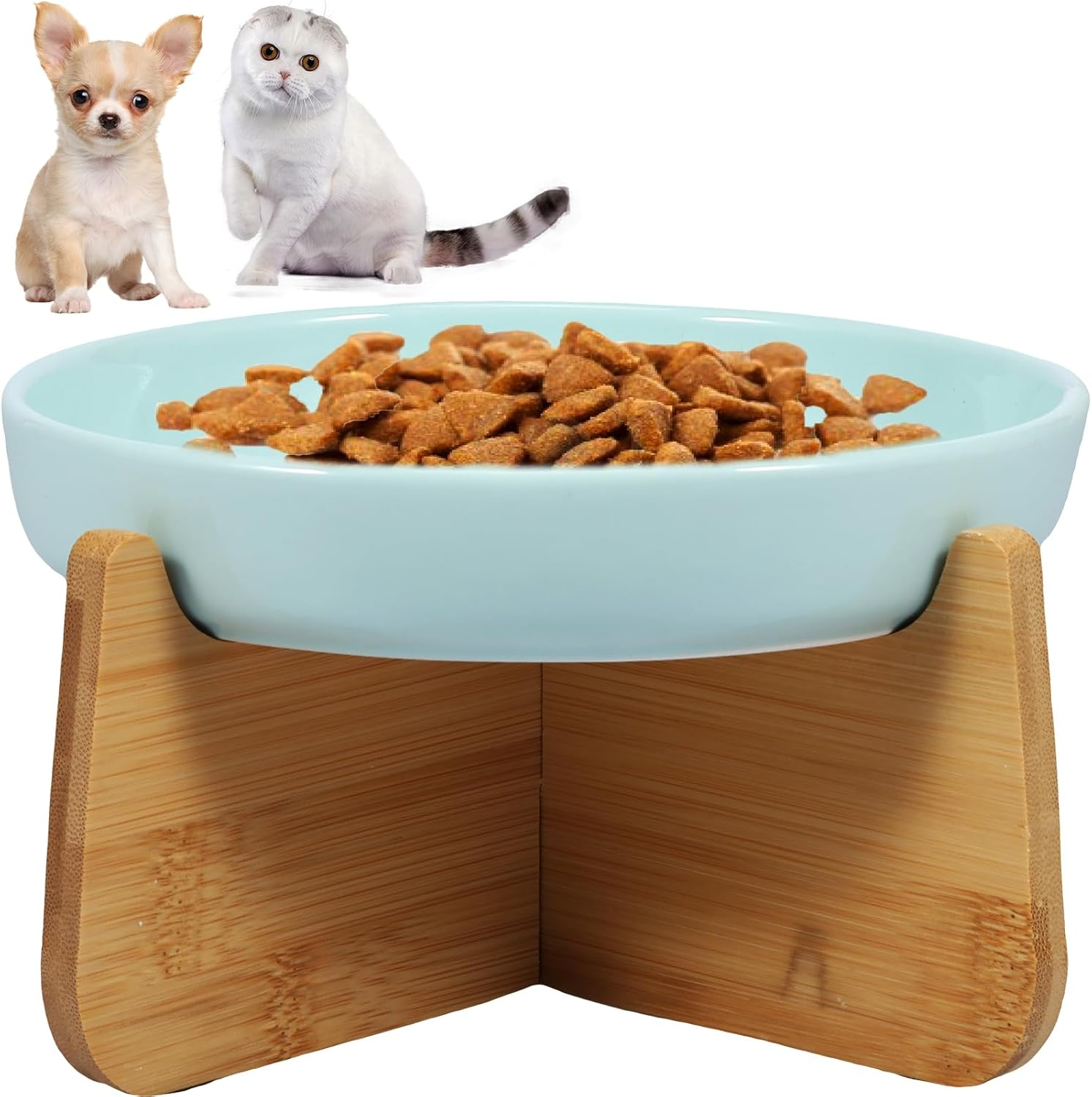 Raised Ceramic Cat Bowl with Stand - Slow Feeder Elevated Bowl for Cats and Small Dogs - Anti-Vomiting, 16.2&times;2.9Cm (Light Green)