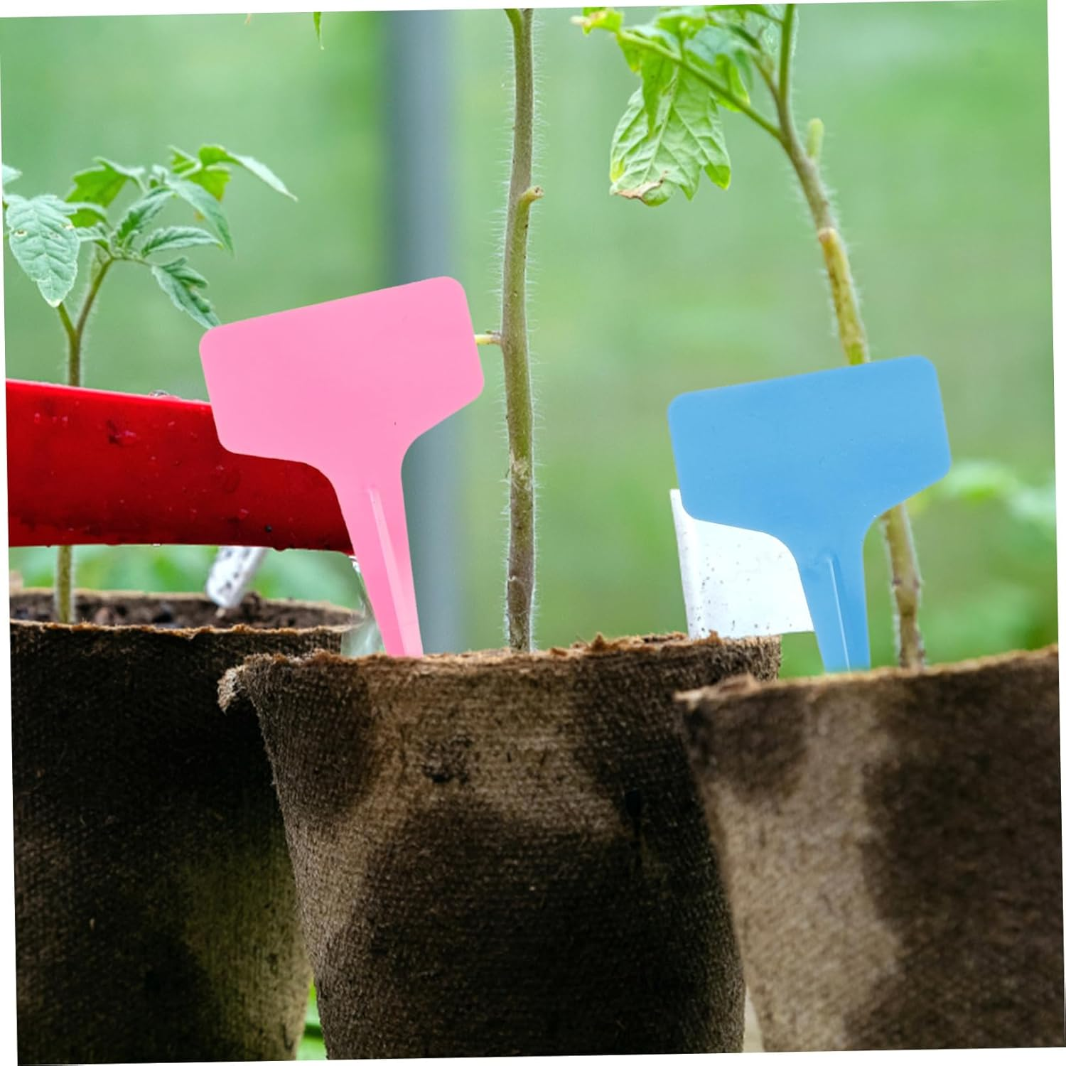 Operitacx 175Pcs Shaped Plastic Flower Ground Labels Flower Bed Insert Tag Labels for Gardening Supplies Plant Distinguish for Outdoor Plant image number 3