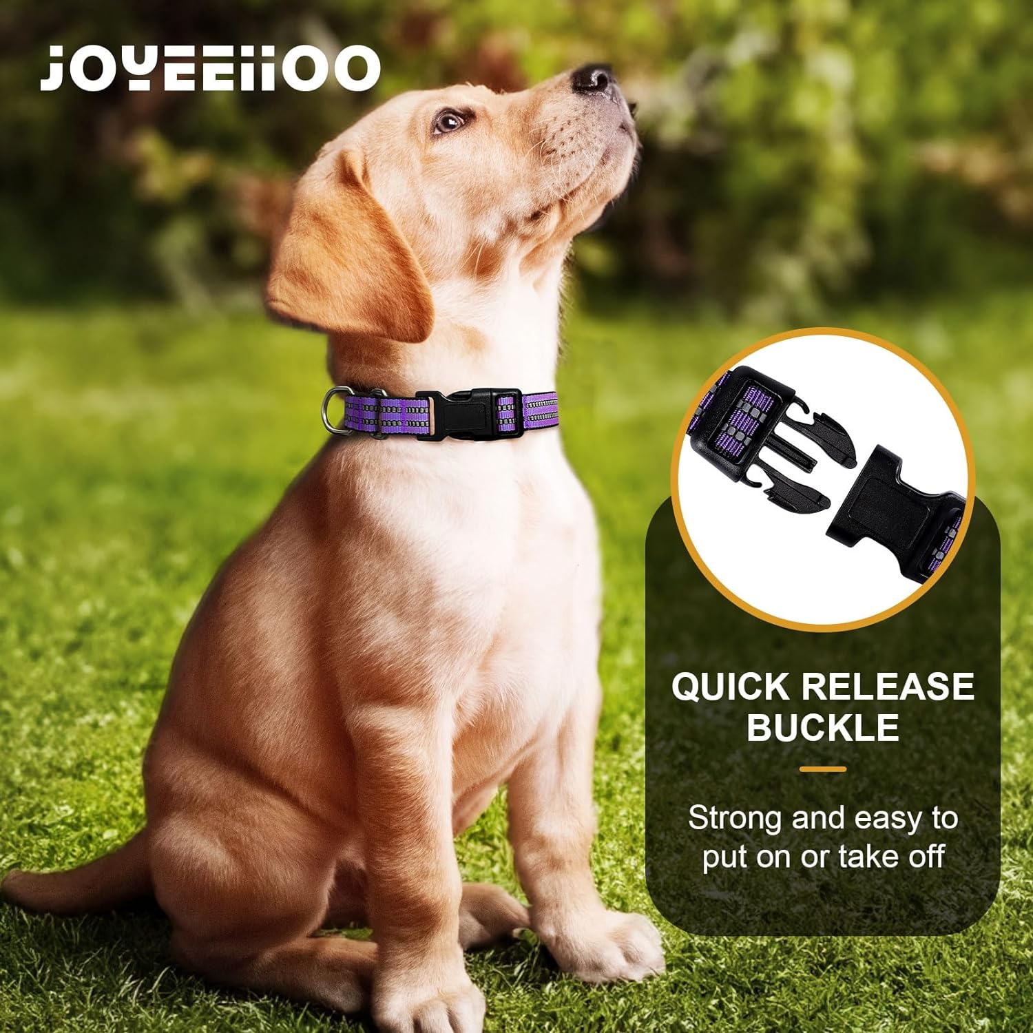 JOYEEIIOO Martingale Dog Collar, Adjustable Nylon Reflective Collar with Buckle. No Pull -For Small, Medium, Large Dogs. Prevents Slipping Out-Helps with Strong Pullers-Increase Control (Purple M) image number 2