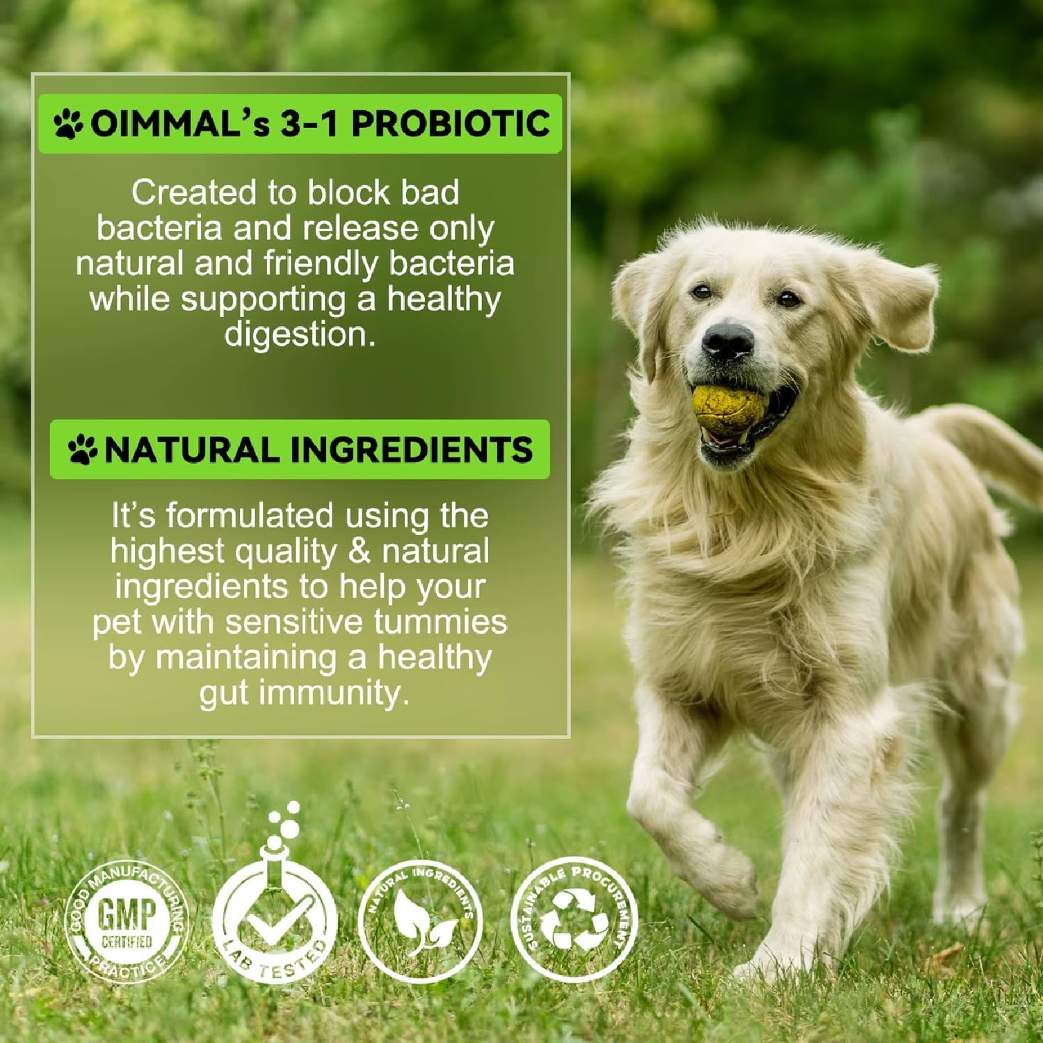 3-In-1 Probiotics for Dogs with Digestive Enzymes & Prebiotics &ndash; Supports Gut Health, Immunity, Diarrhea Relief & Allergies &ndash; Liquid Drops (60Ml) for Puppies & Adults &ndash; Bacon Flavor image number 5