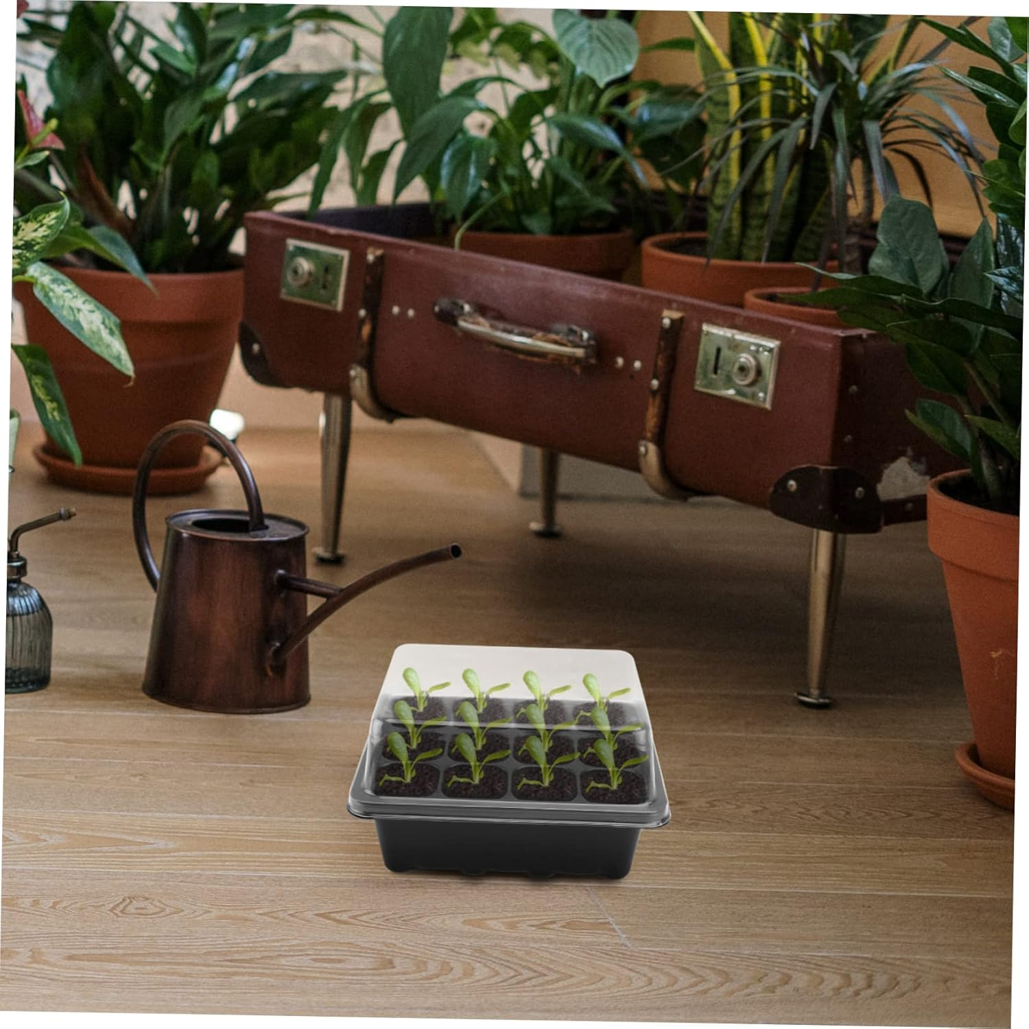 5 Pack 18X14X6Cm Plant Nursery Pots Starting Trays Sprout Trays Lids for Bonsai Gardening image number 2