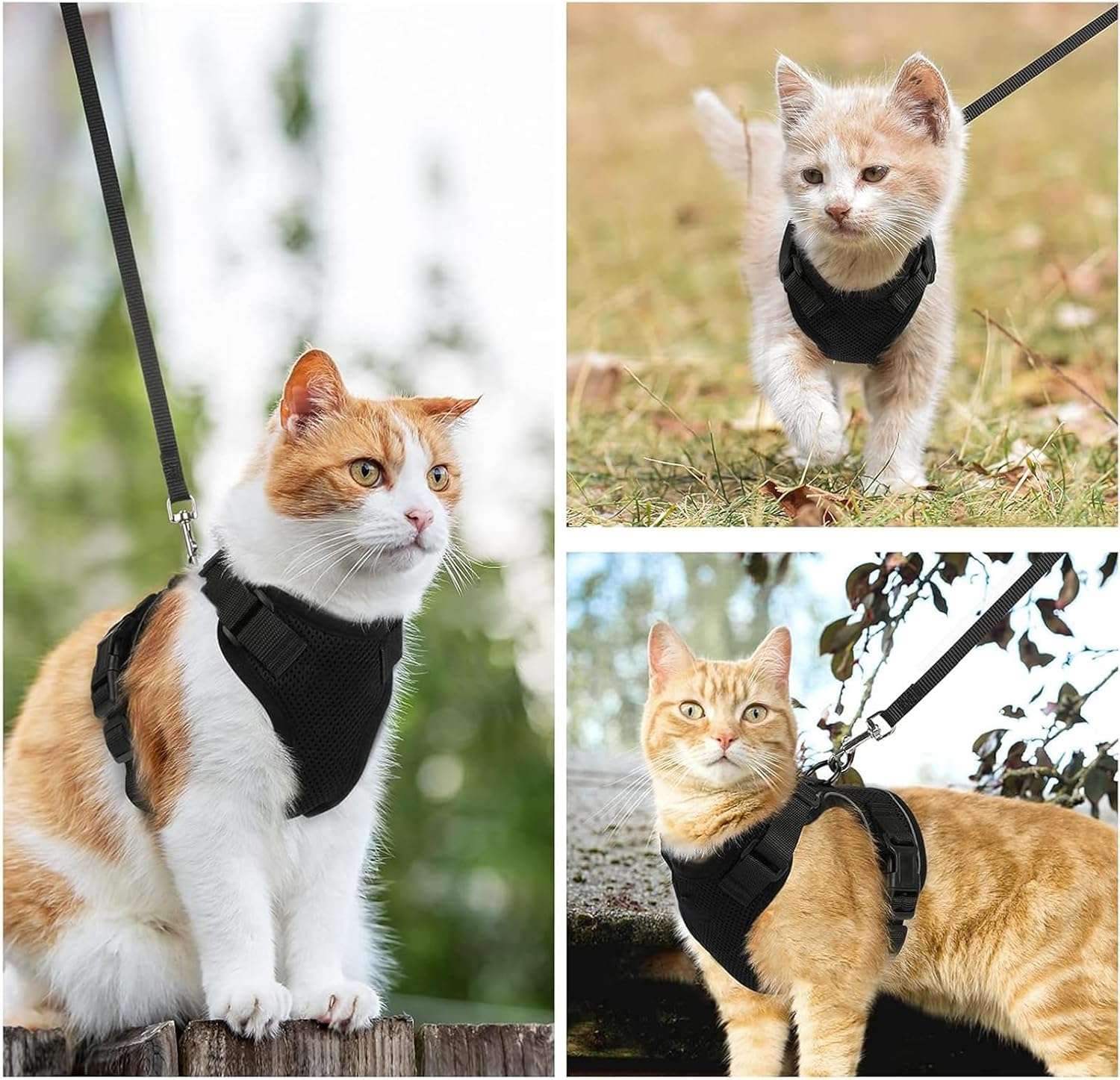 Cat Harness with Lead, Cat Harness with Lead, Escape Proof, Cat Lead with Harness for Cats, Cat Lead, Cat Harness Escape Proof, for Small and Large Cats (XS), Black image number 3