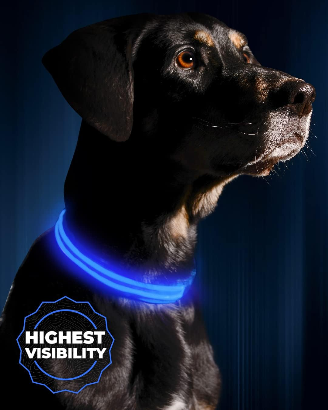 LED Dog Collar, USB Rechargeable, Your Dog Will Be More Visible & Safe, 6 Colours (Red, Blue, Green, Pink, Orange & Yellow) and 6 Sizes - Perfect to Use with Our Matching Illumiseen Leash (Royal Blue, X-Small (23 &ndash; 35Cm))