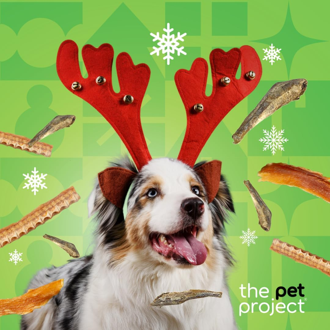 The Pet Project Seafood Platter: Natural Christmas Dog Treats with Shark Cartilage and Fish &ndash; 100% Australian Made Treats for Your Furry Friend! image number 1