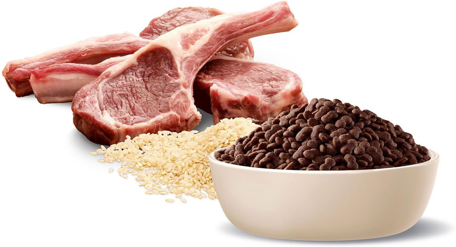 ADVANCE DOG ADULT TOT WELL TOY/S BR LMB RICE 3KG(303577)