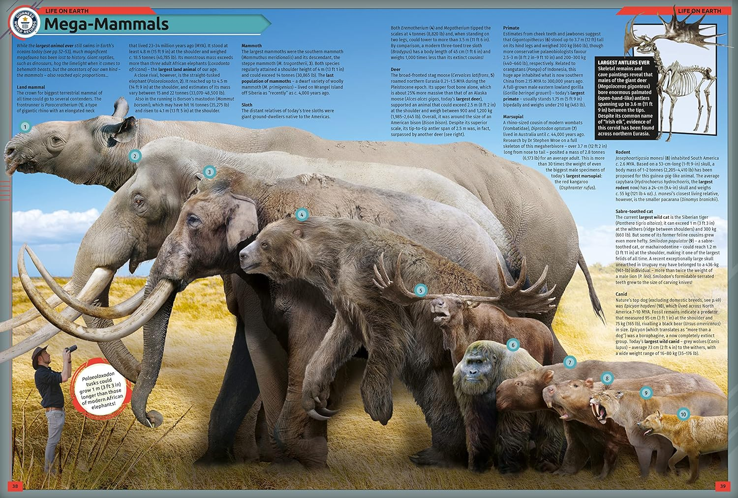 Guinness World Records 2023 image number 4