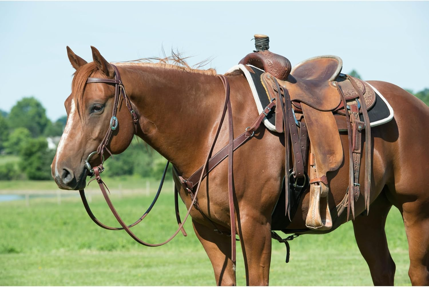 Weaver Leather Working Tack Breast Collar image number 3