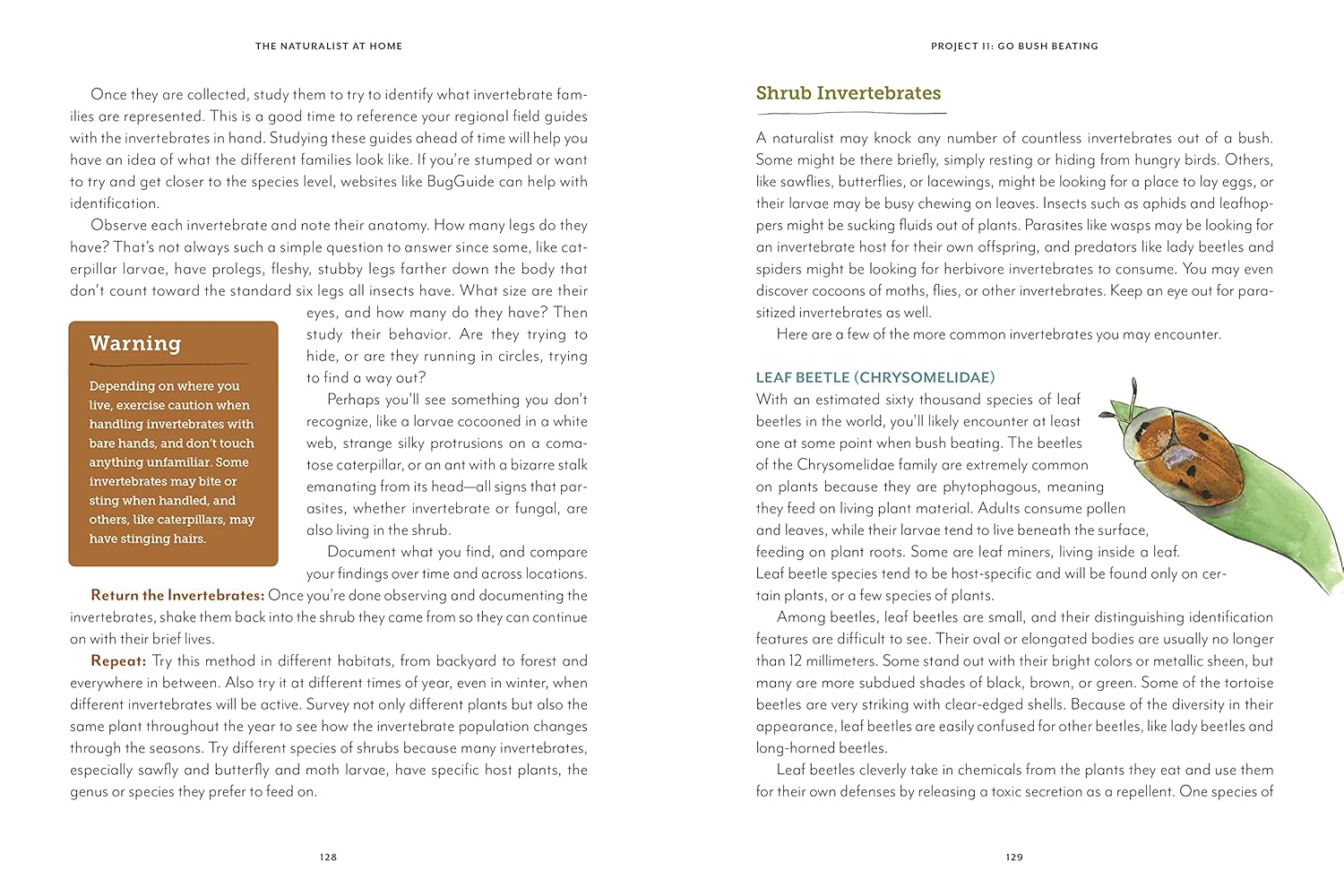 The Naturalist at Home: Projects for Discovering the Hidden World around Us image number 5