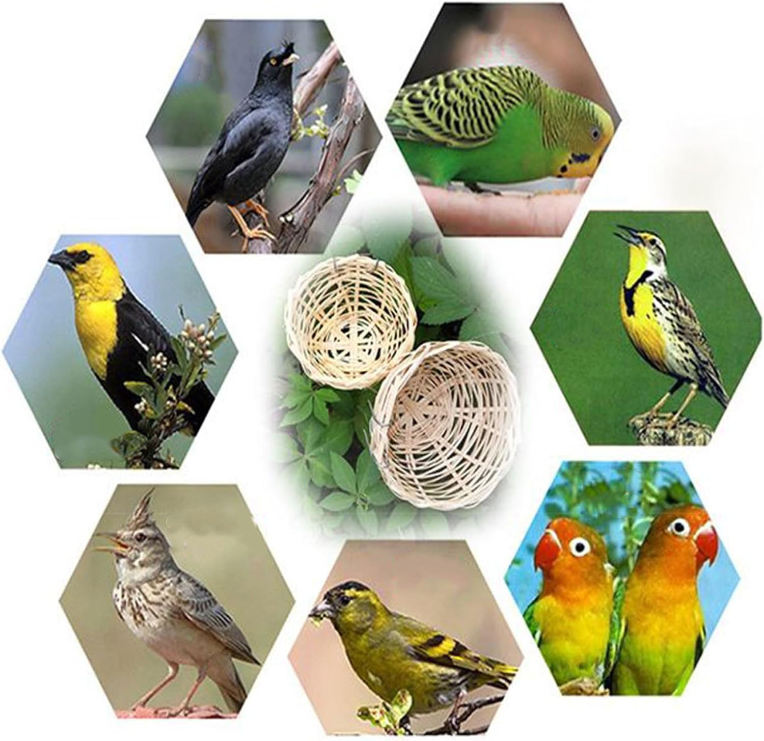Bird Nesting Box | Natural Hand Woven Finch Nest,Pet Accessories for Tree Breeding Winter Laying Aviary Nature Outdoor Indoor Garden Yard View image number 4