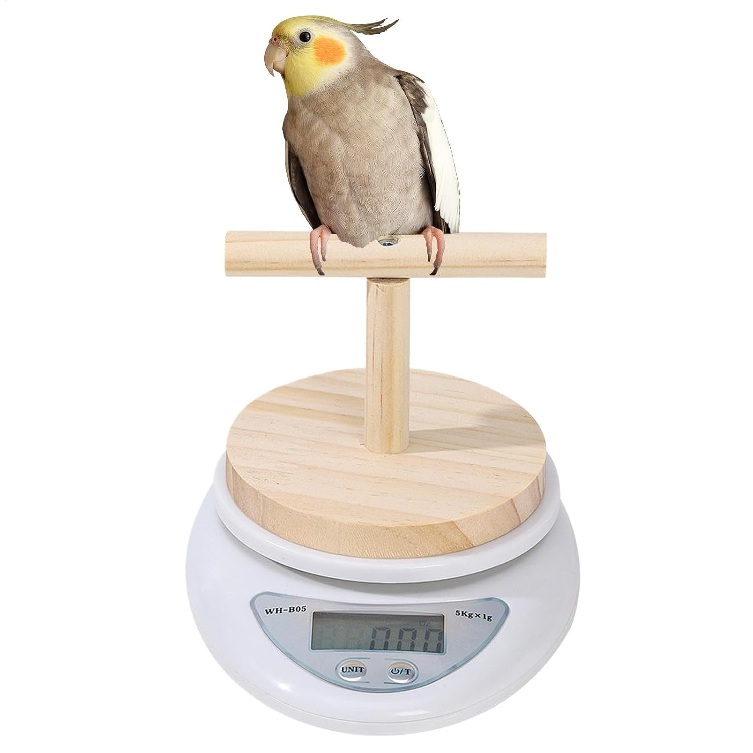 Parrot Scale | Small Animal Scale with Perch for Pet Bird,Digital Weighing Tool, Weight Changing Monitoring with High Accuracy for Precise Feed, Milk Powder Measurement image number 6