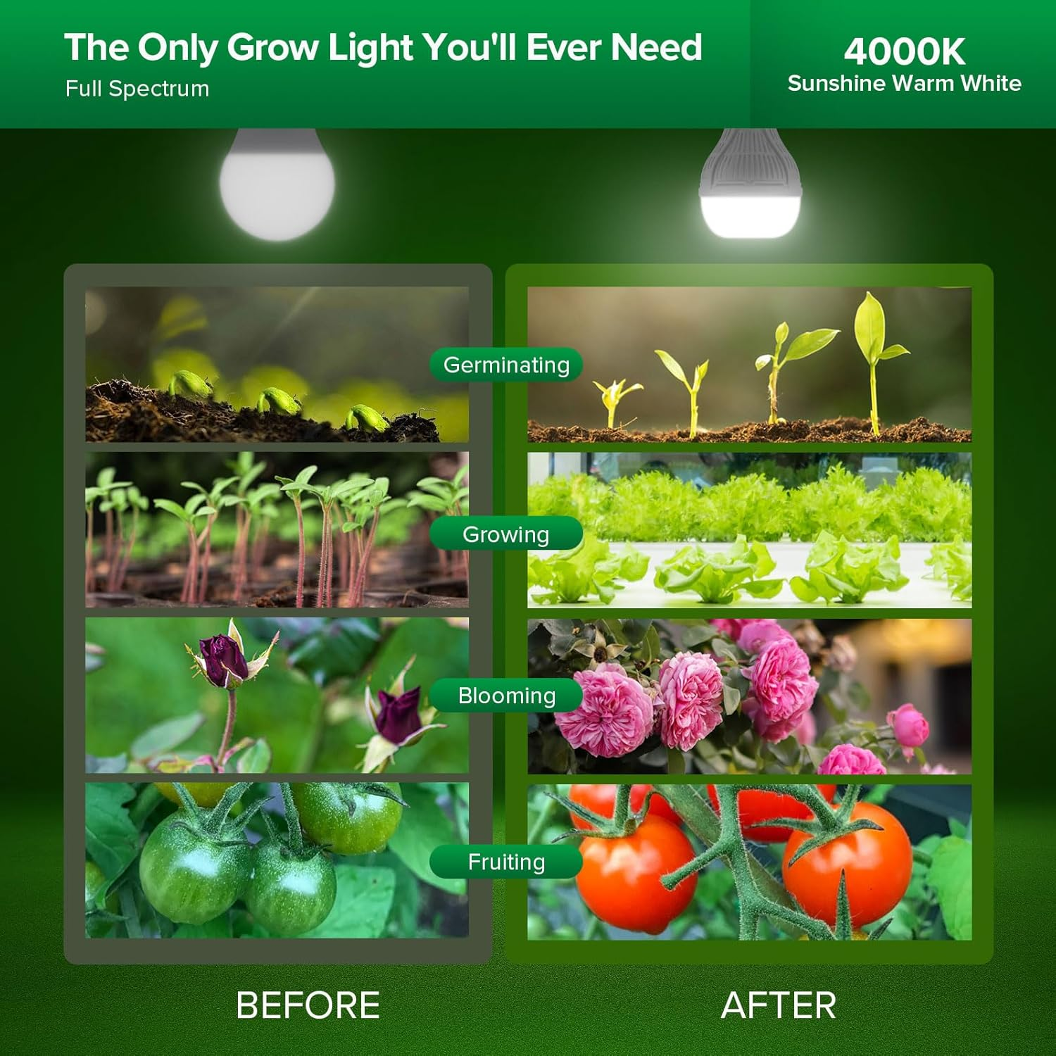 SANSI 10W LED Grow Light for Indoor Plants, 150W Equivalent Full Spectrum LED E27 Plant Grow Light Bulb with Frosted Lens (PPF: 16&Mu;mol/S, 120&deg; Beam Angle, Veg Coverage: 2X1 Sq Ft) image number 5