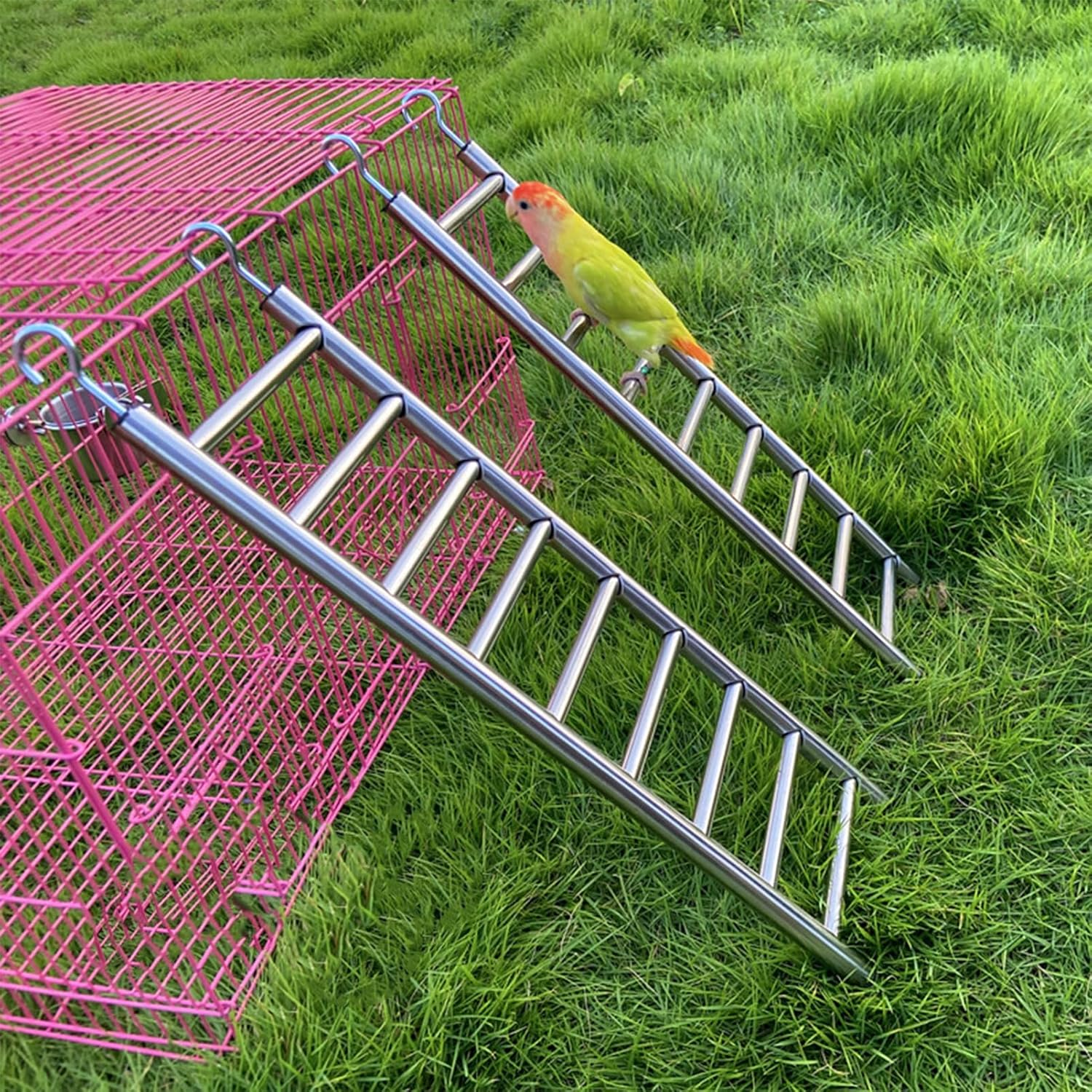 Stainless Steel Bird Ladders 9-Step Parrot Ladder Hanging Bird Cage Climbing Toys with Hooks Birds Exercise Toy for Parakeets, Parrots, Cockatoo，Rust-Resistant and Easy to Clean (1 PCS) image number 1