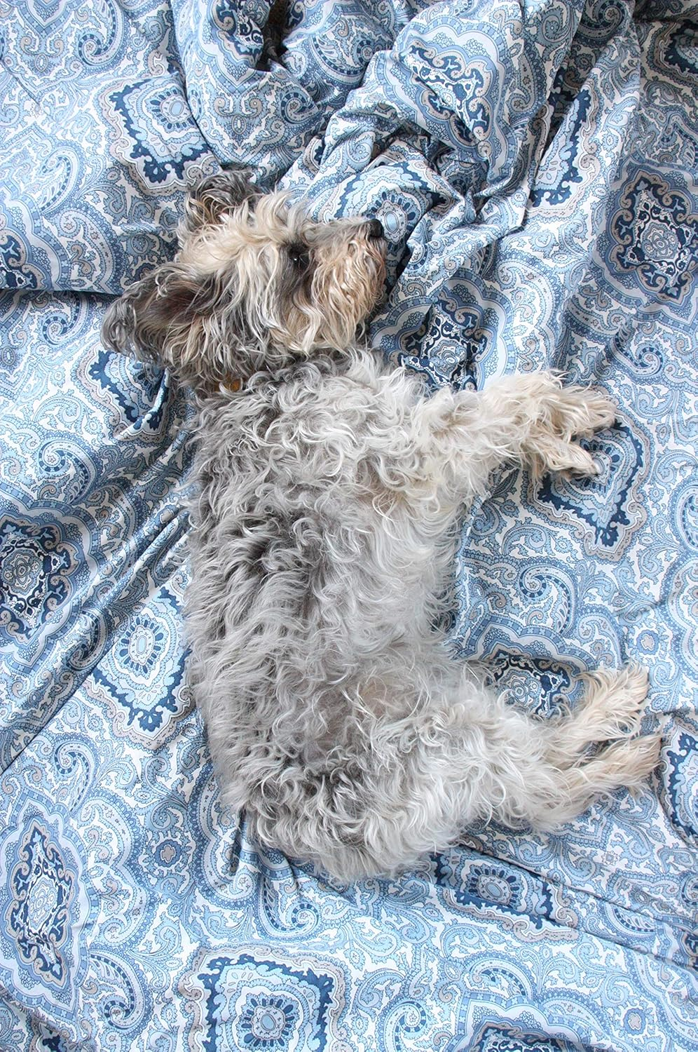 City Scene Milan Blue Duvet Cover Set, King image number 2