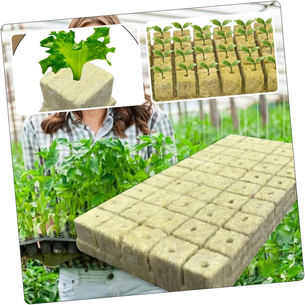 SUPVOX 200Pcs Garden Hydroponic Grow Starter Plugs Nutrient Rich Wool Cubes Easy to Plant Gardening Supplies