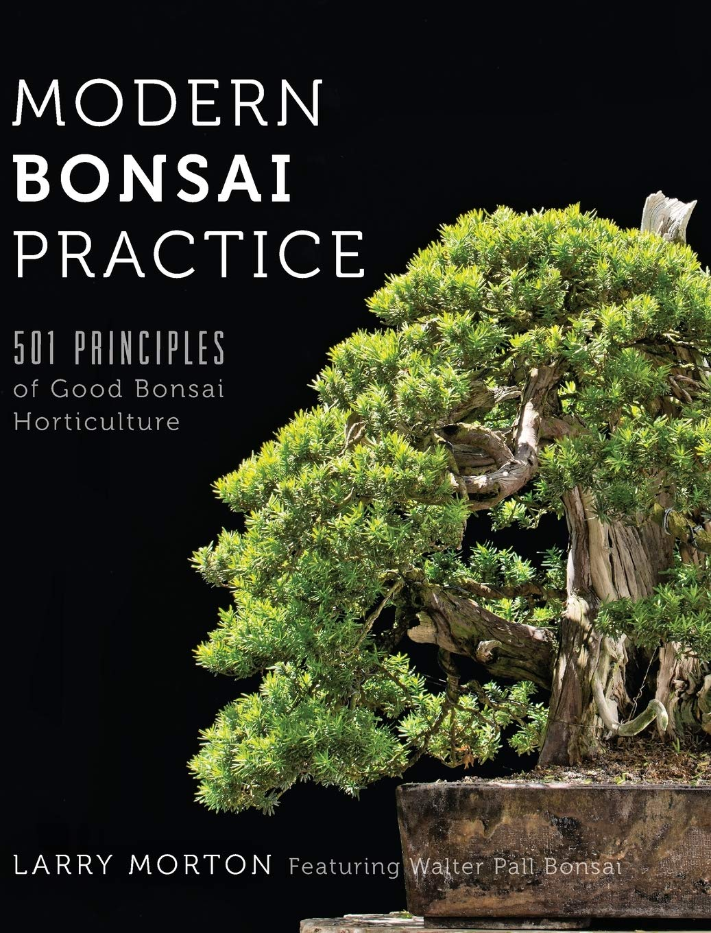 Modern Bonsai Practice: 501 Principles of Good Bonsai Horticulture image number 1