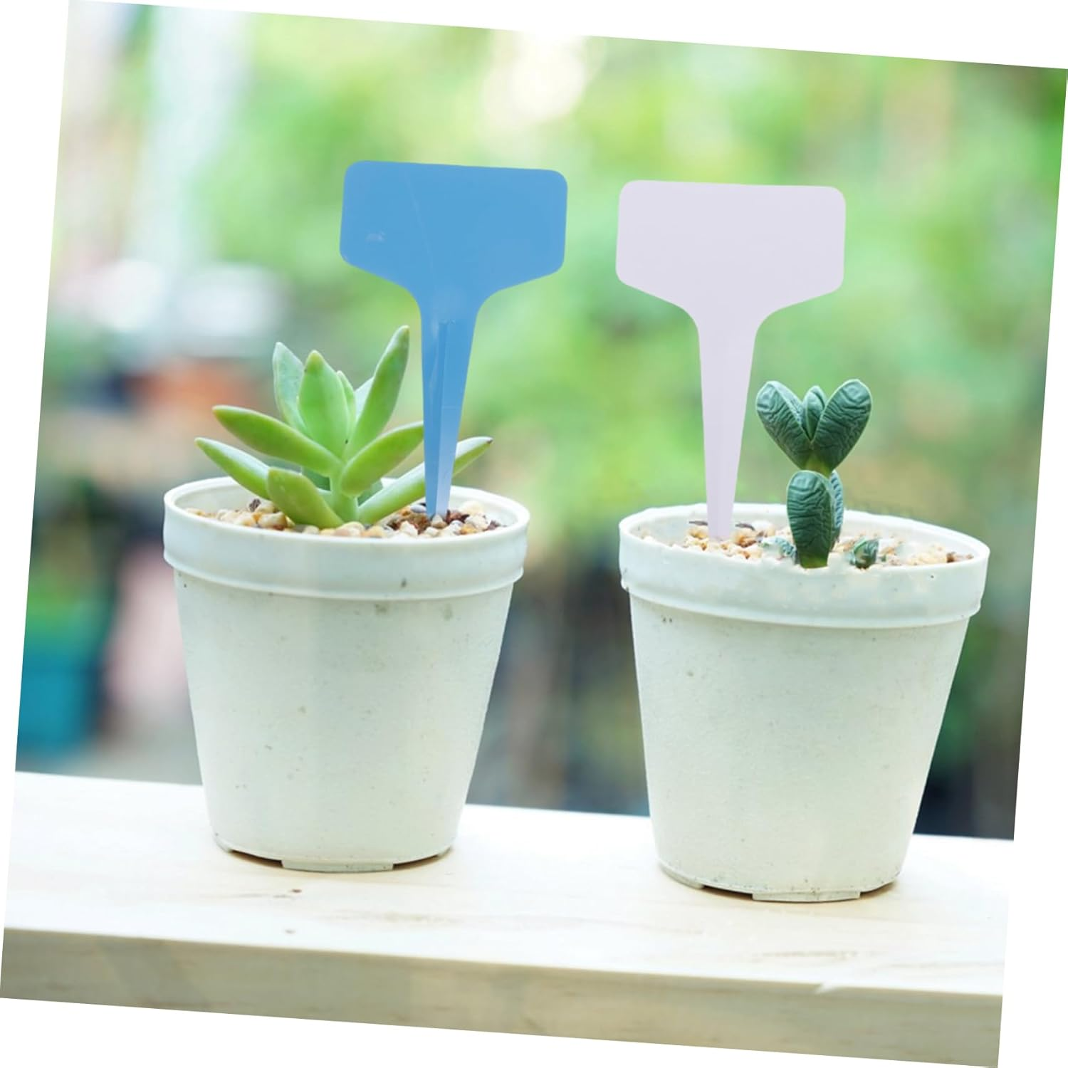 BEBEMOKO 100Pcs Shaped Plant Labels for Garden Nursery Tags for Easy Plant Identification Outdoor and Indoor Herb Flower Vegetable Gardening image number 1