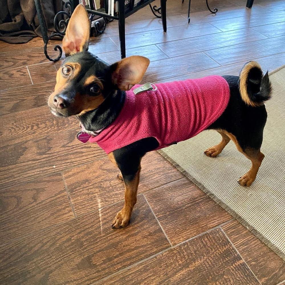 Gooby - Fleece Vest, Small Dog Pullover Fleece Jacket with Leash Ring, Fuchsia, X-Large