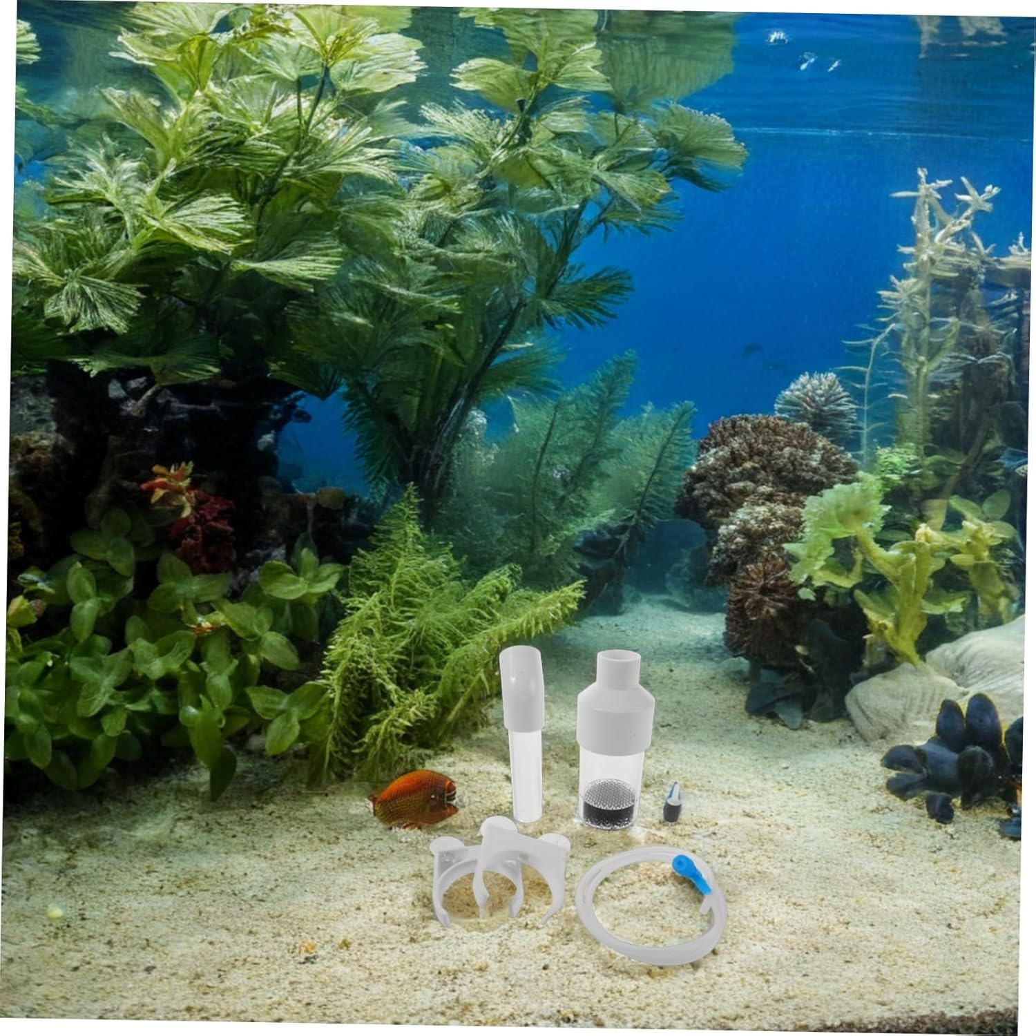 YARNOW Fish Egg Incubator for Aquarium Breeding Cichlids Hatchery Incubator Fish Tank Incubation Box for Breeding Aquatic Pets